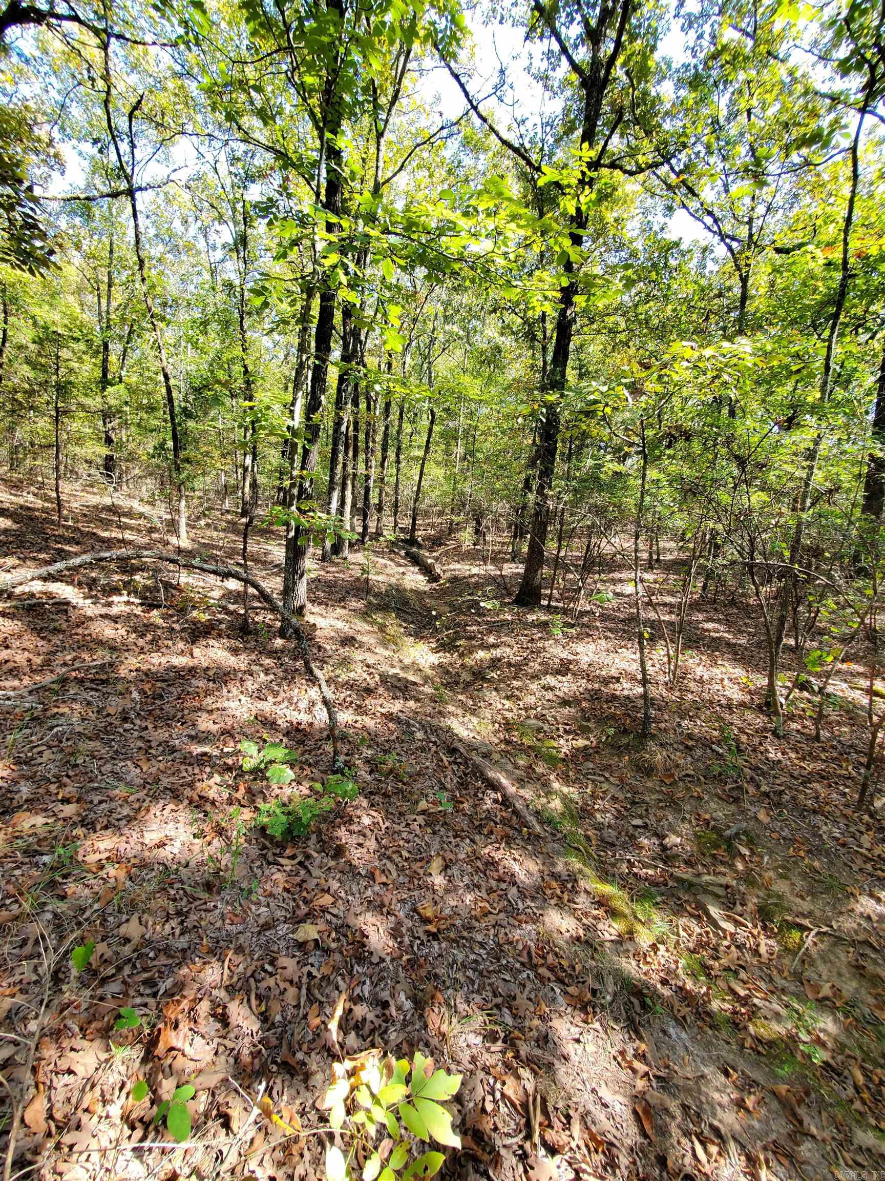 176  Double G Farm  Romance, AR