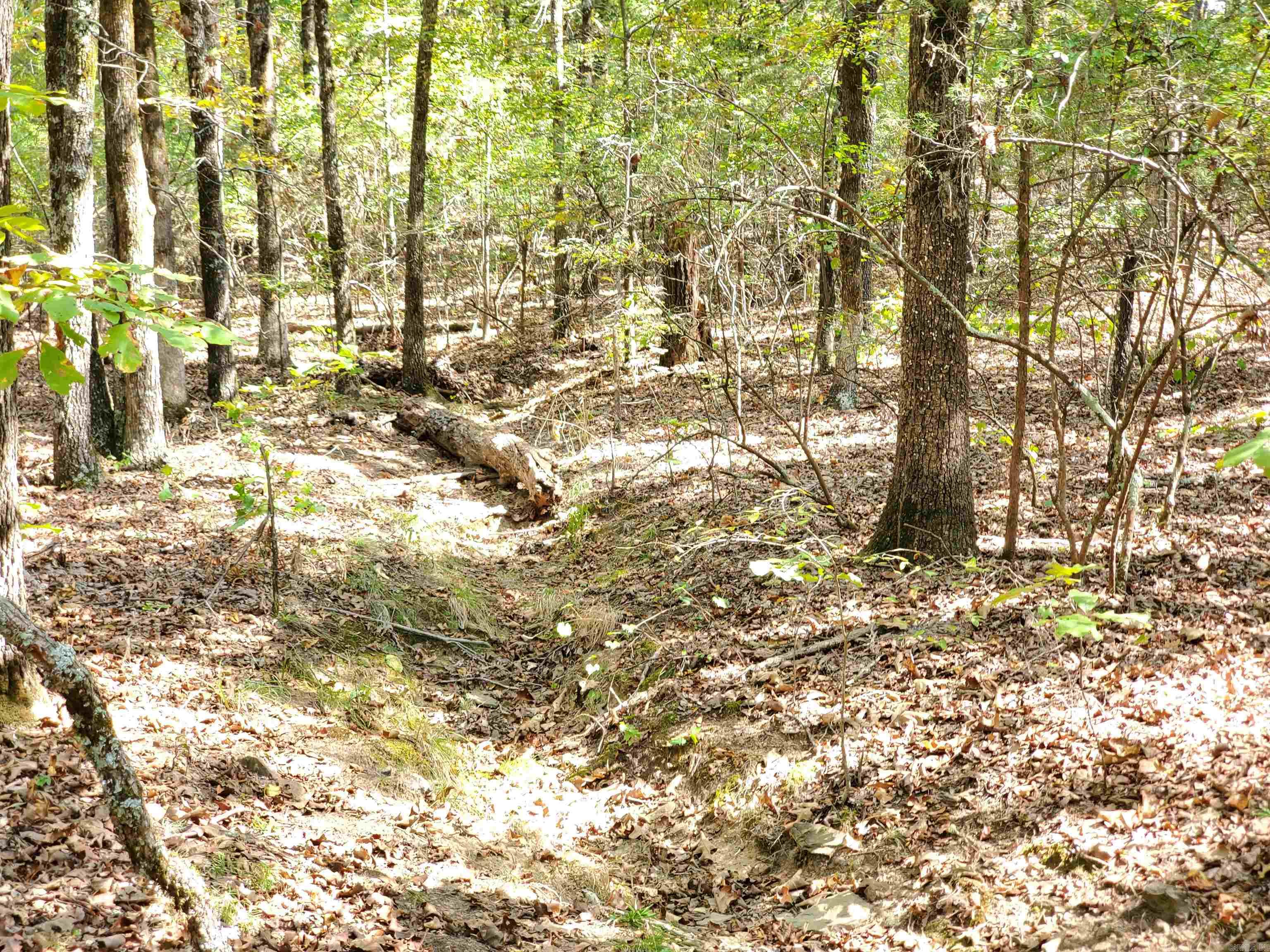 176  Double G Farm  Romance, AR