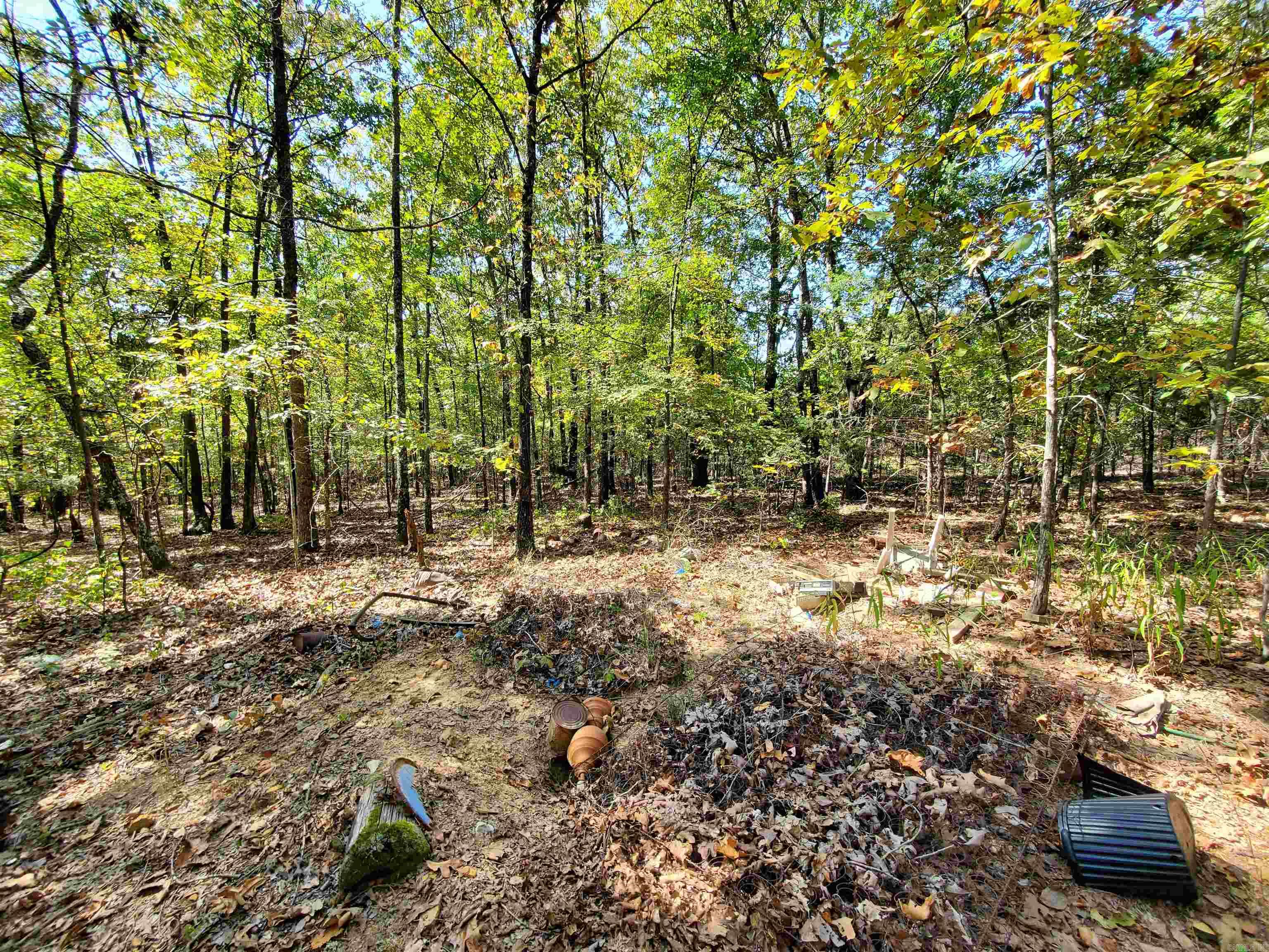 176  Double G Farm  Romance, AR