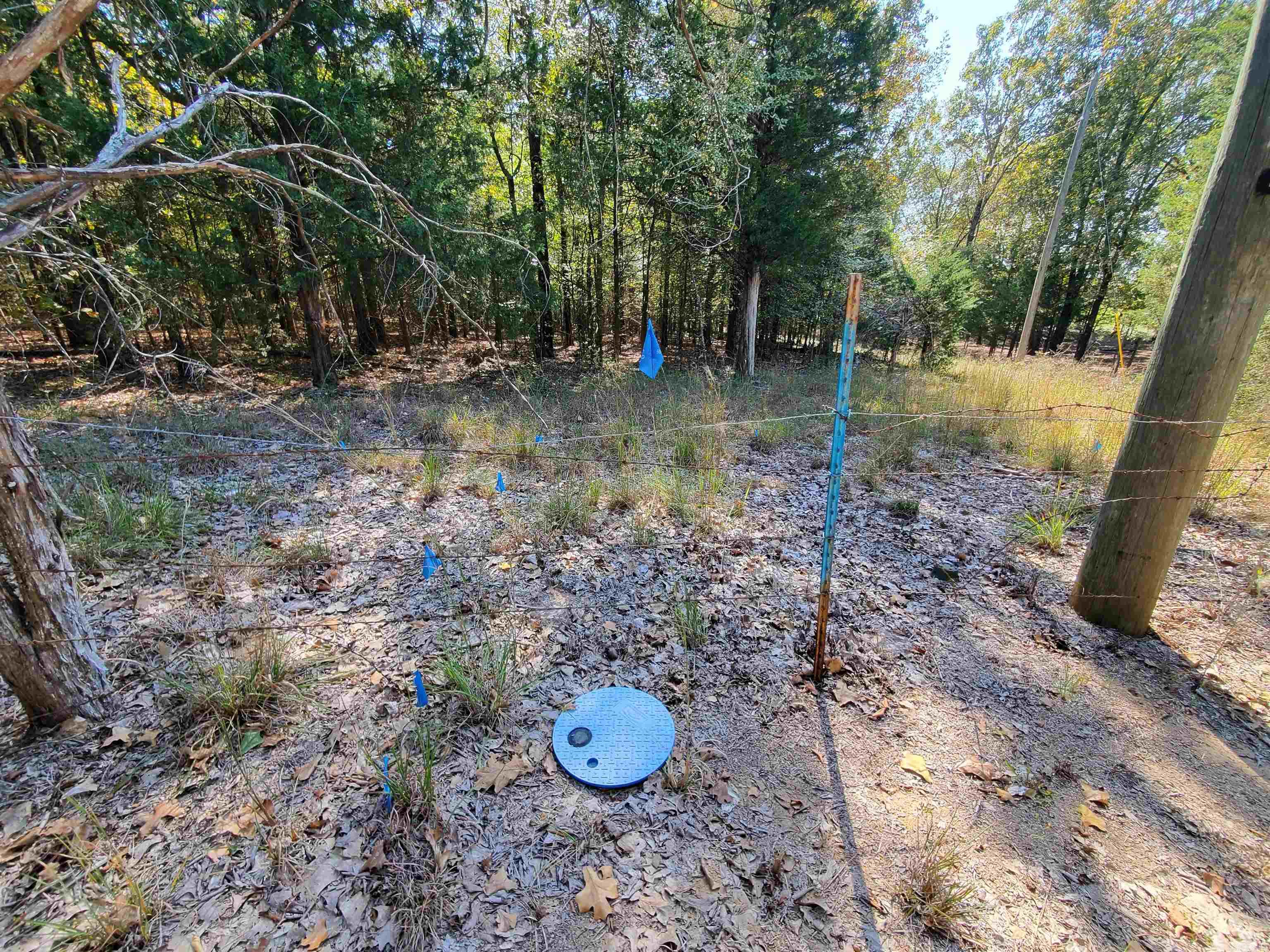 176  Double G Farm  Romance, AR