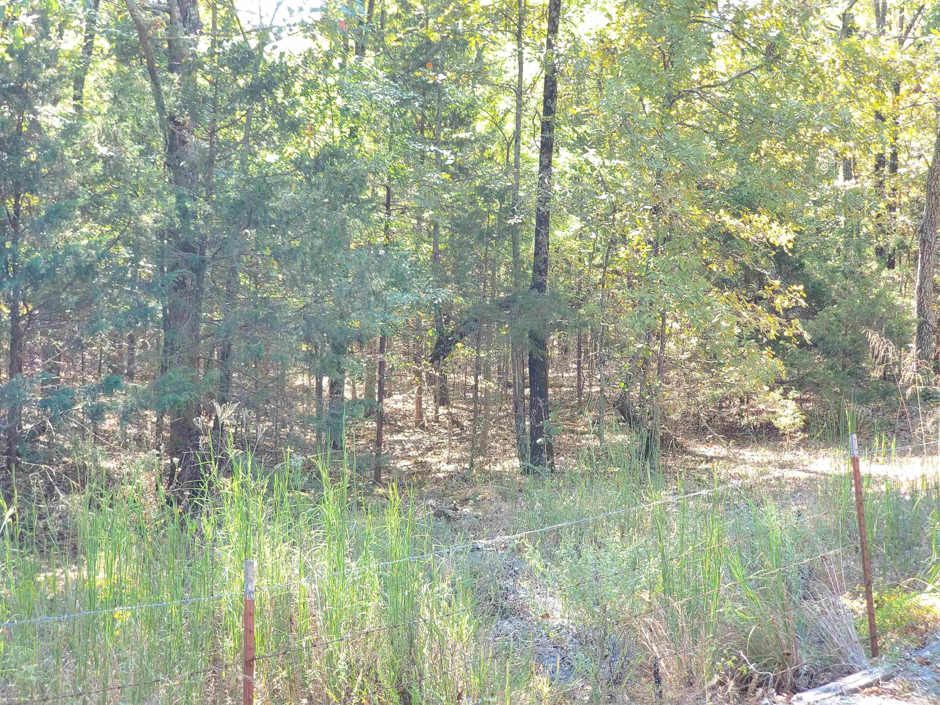 176  Double G Farm  Romance, AR