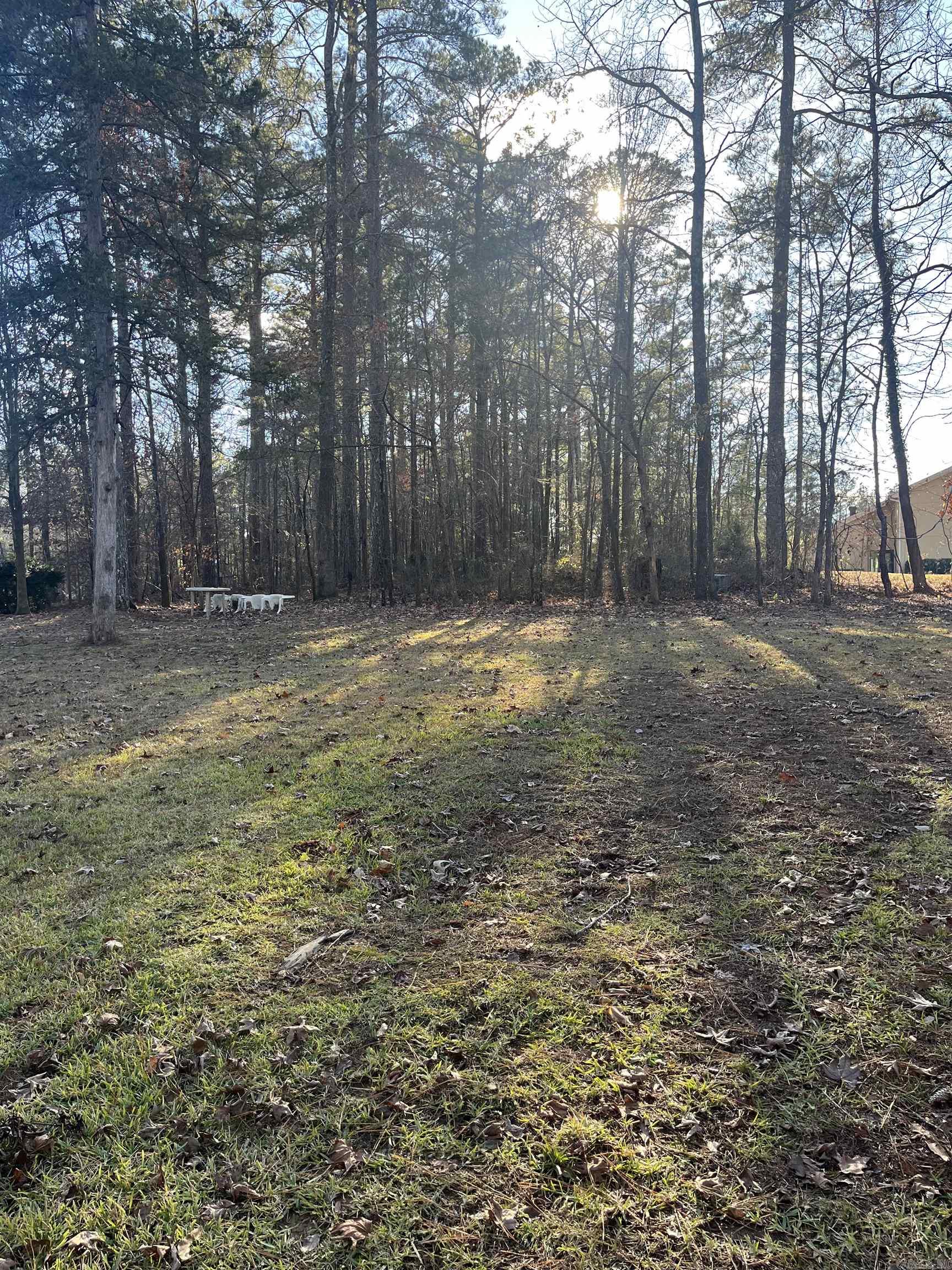 226  Hawthorne  Monticello, AR