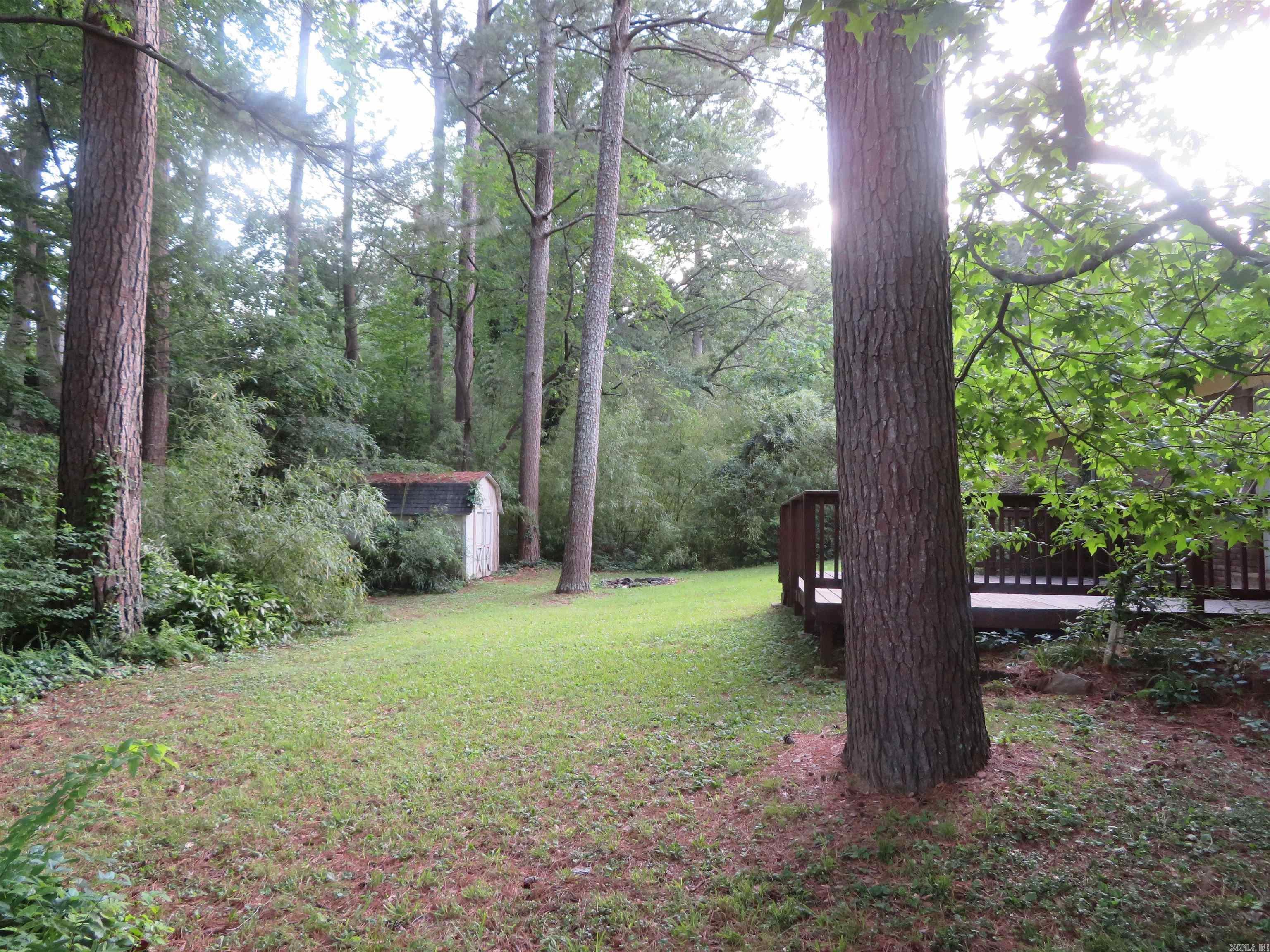 2043  Elaine  Arkadelphia, AR