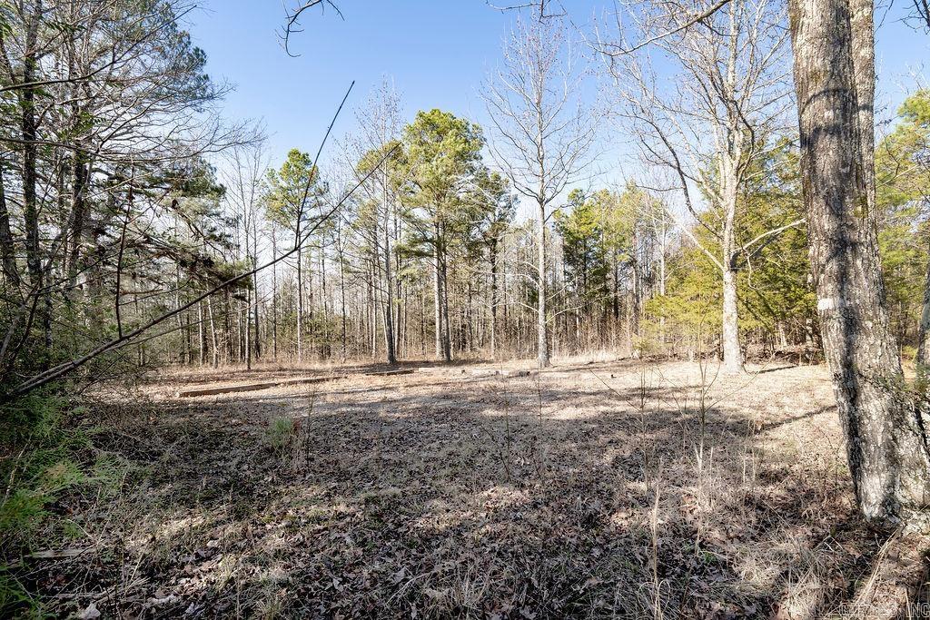 000  JUNIOR ROAD  Clinton, AR