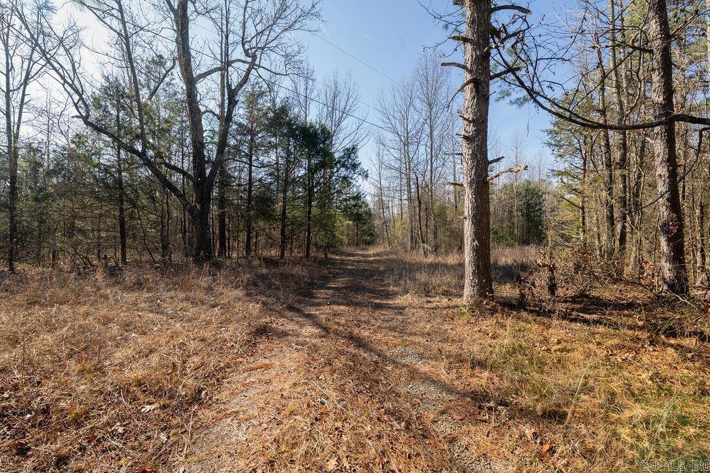 000  JUNIOR ROAD  Clinton, AR
