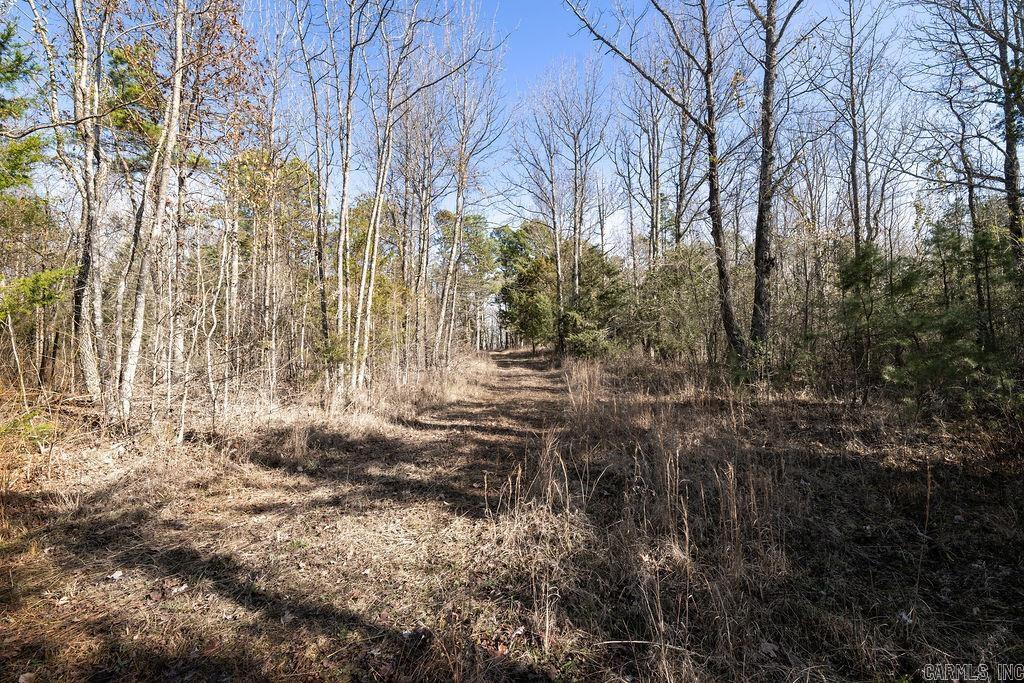 000  JUNIOR ROAD  Clinton, AR