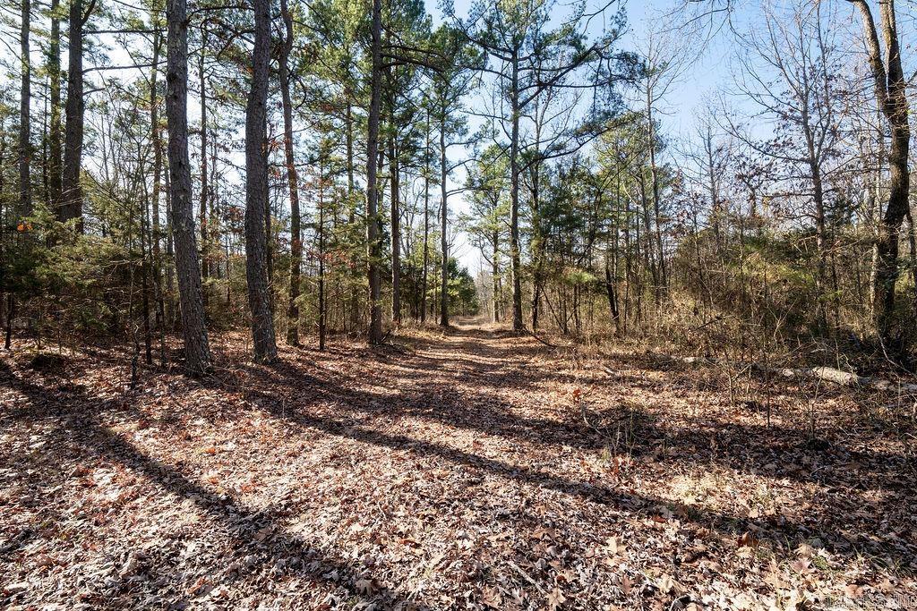 000  JUNIOR ROAD  Clinton, AR