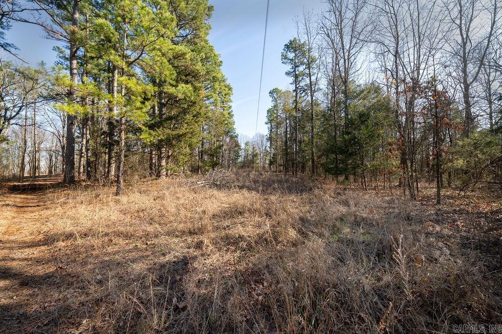 000  JUNIOR ROAD  Clinton, AR
