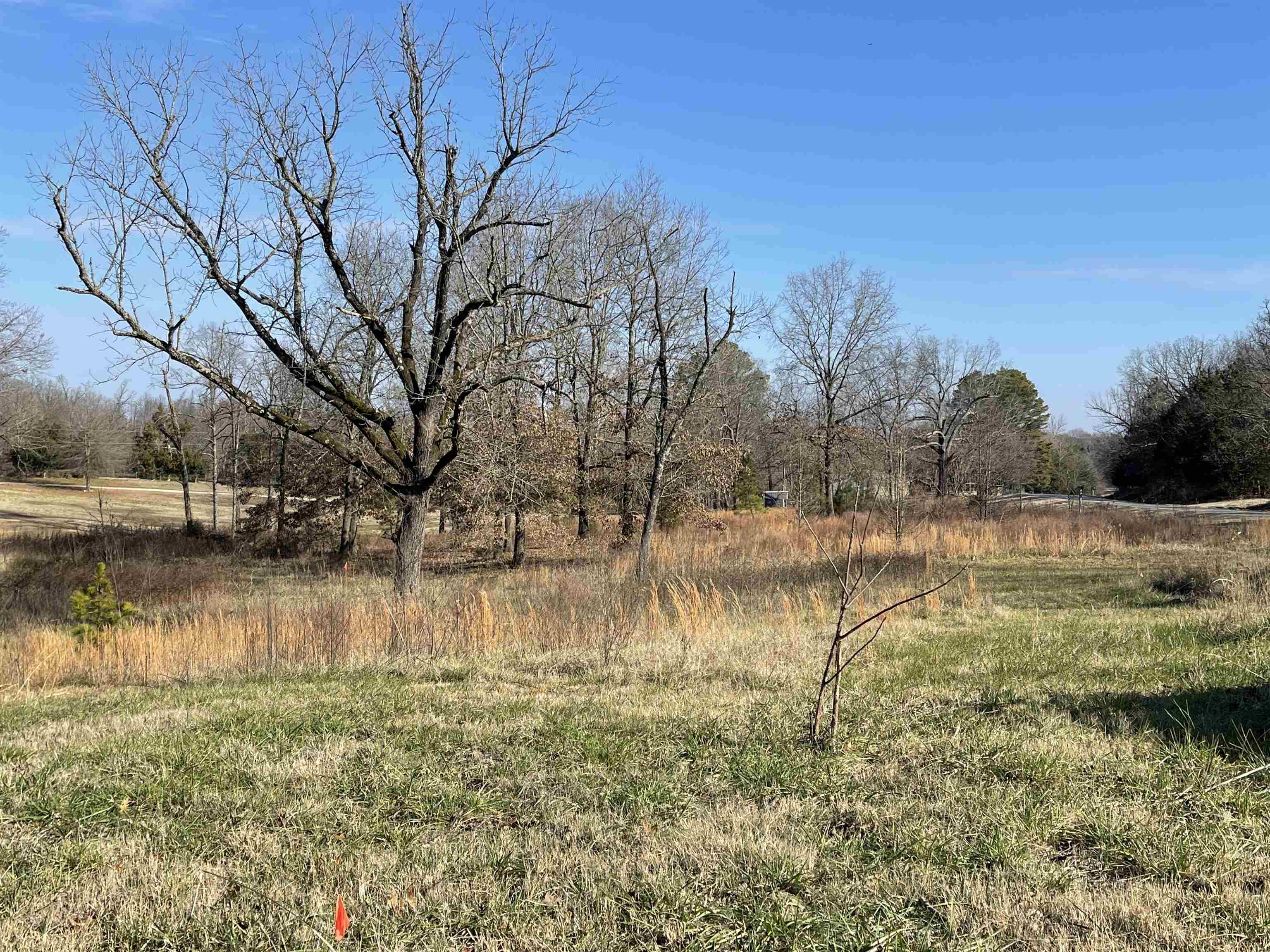 1477  Hwy 166 S  Pocahontas, AR