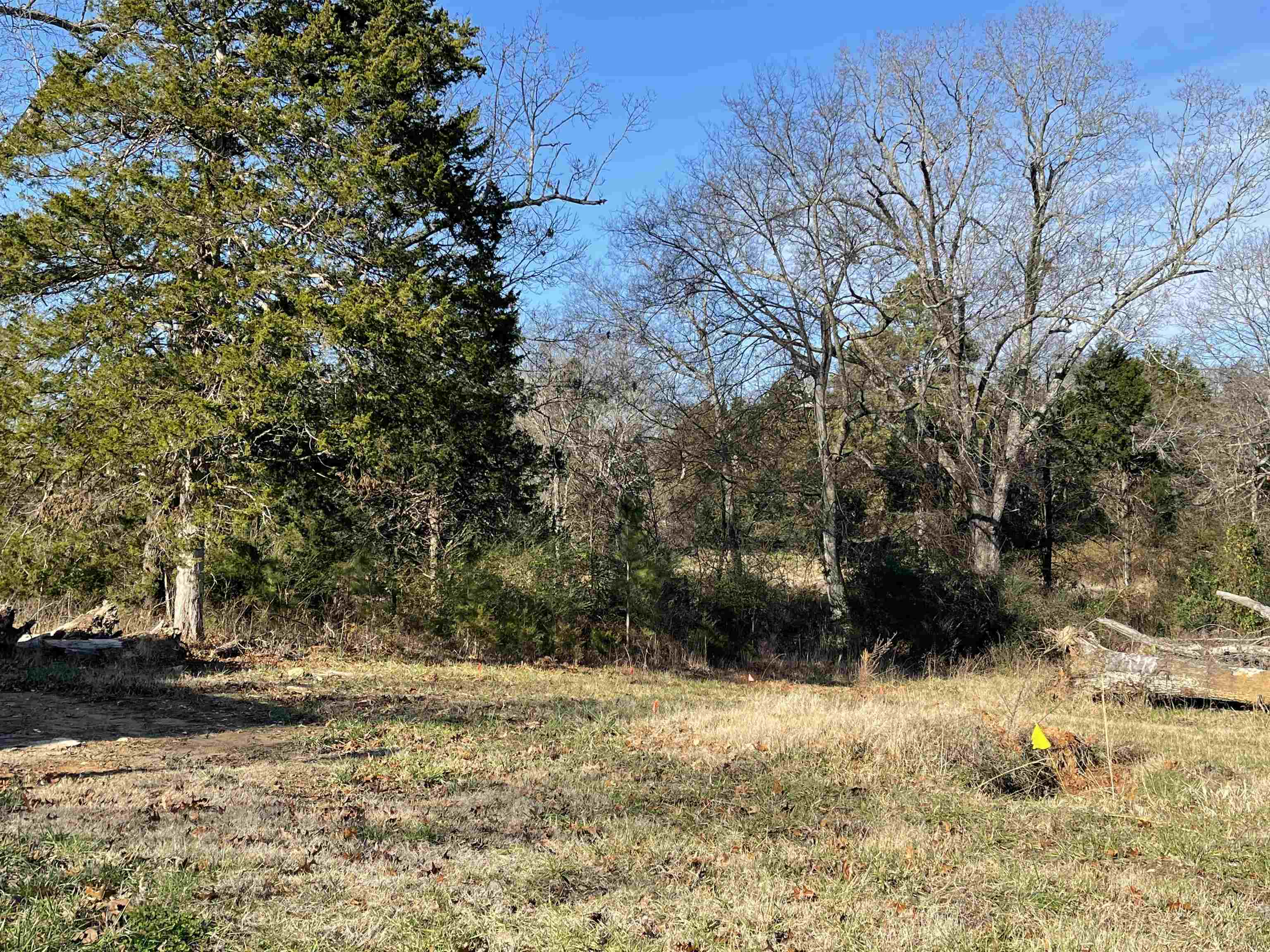 1477  Hwy 166 S  Pocahontas, AR