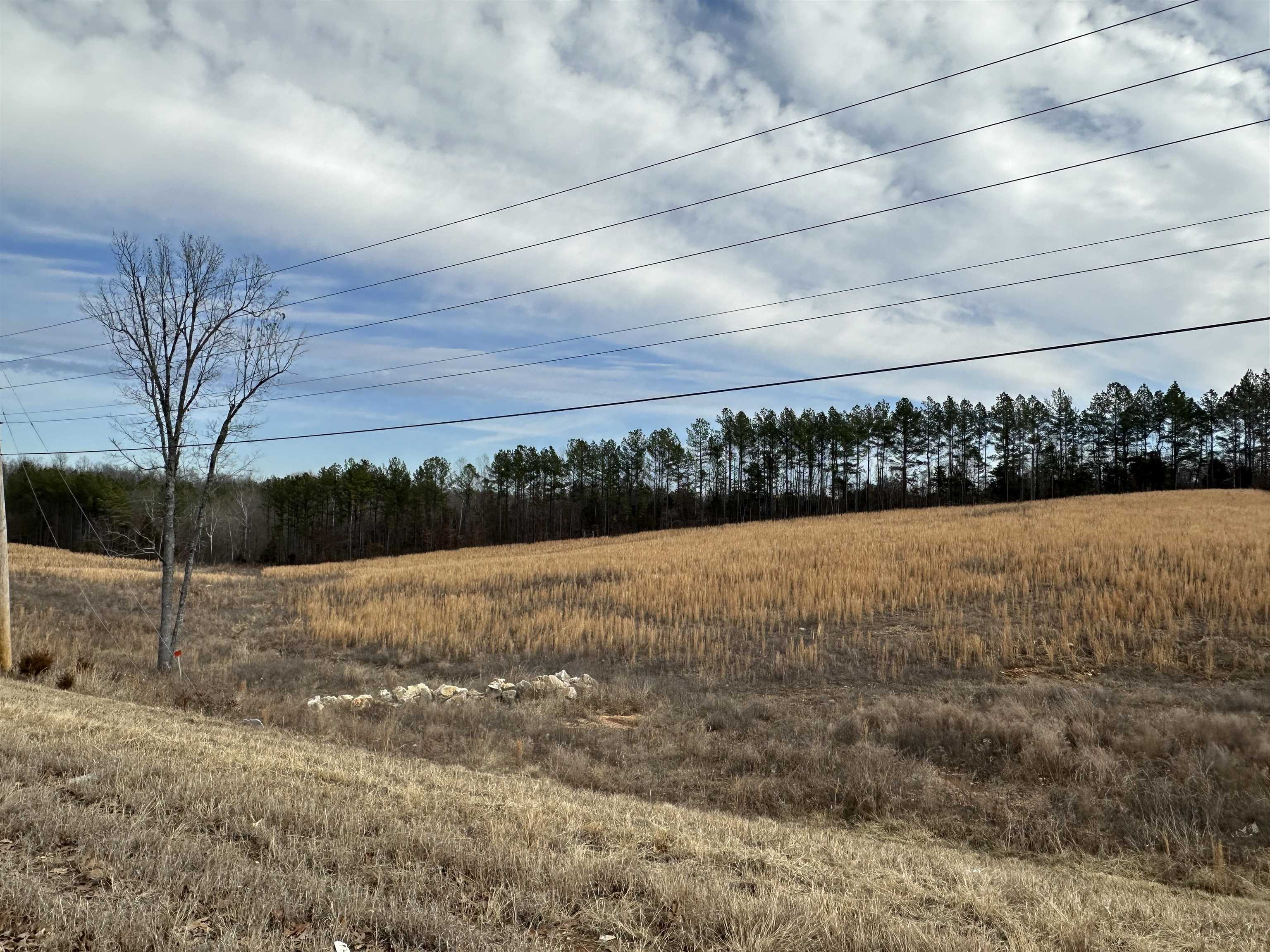 XX  Highway 62/412  Hardy, AR