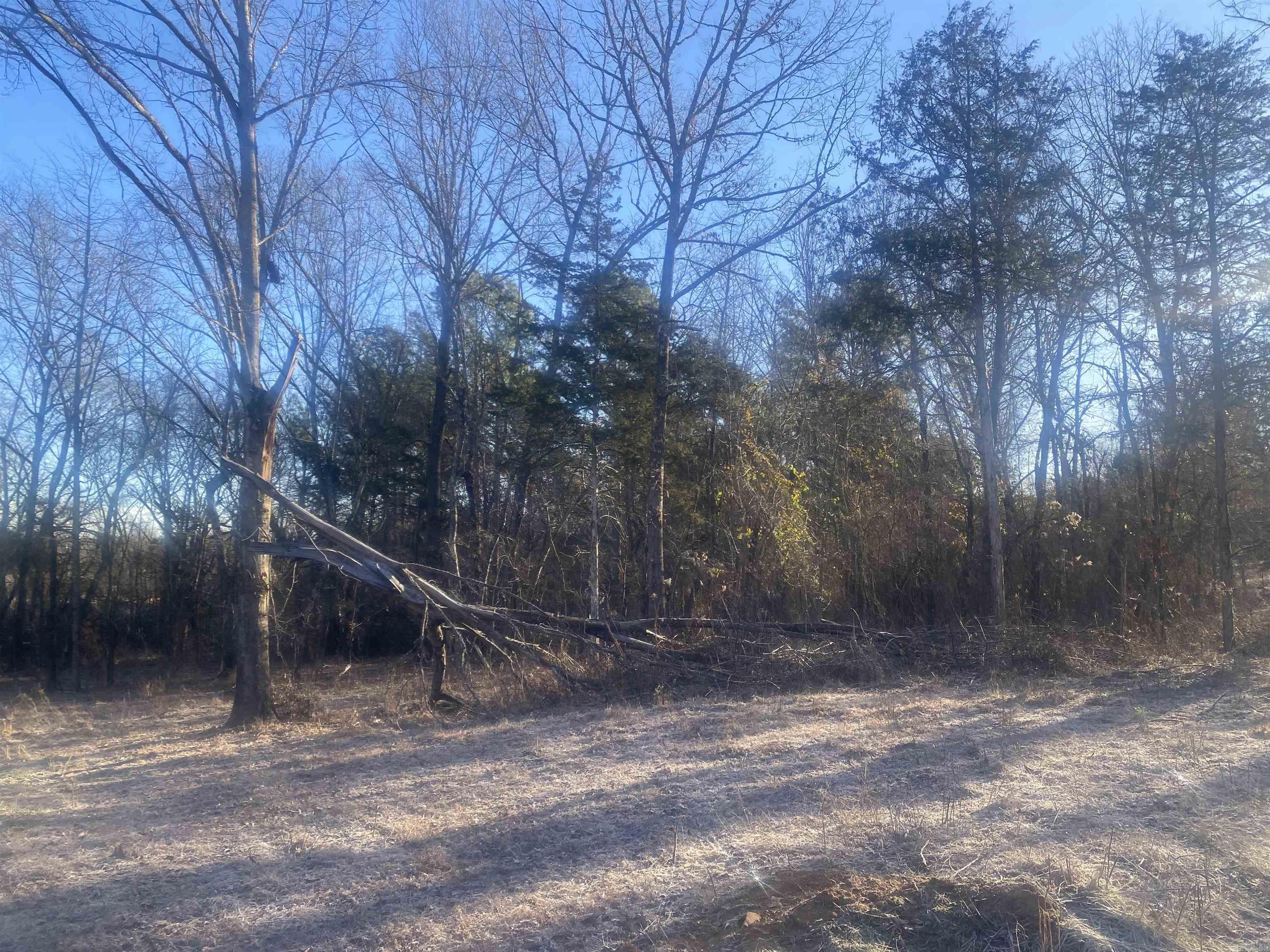 TBD  Farley  Story, AR