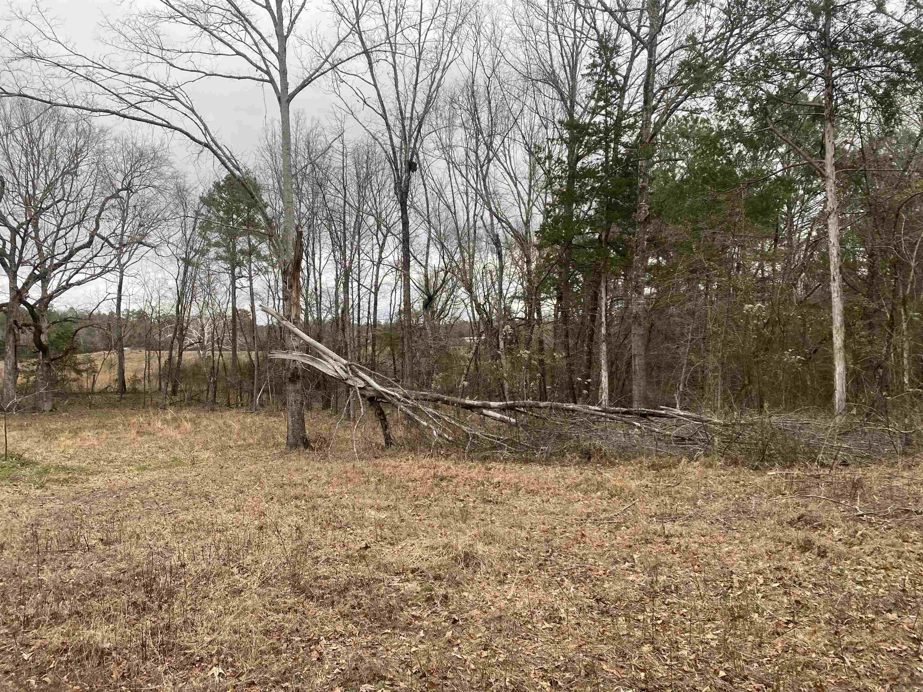 TBD  Farley  Story, AR