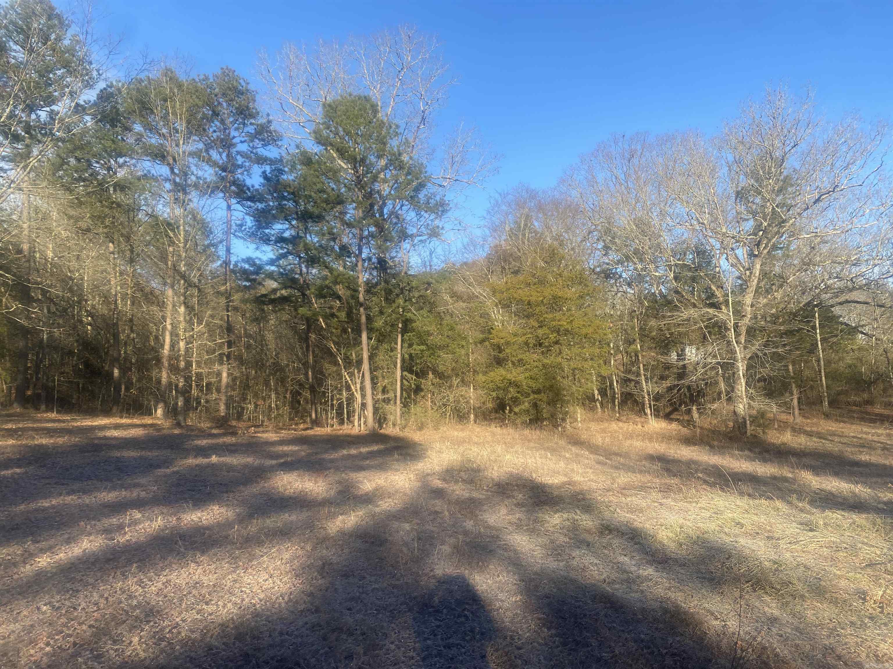 TBD  Farley  Story, AR