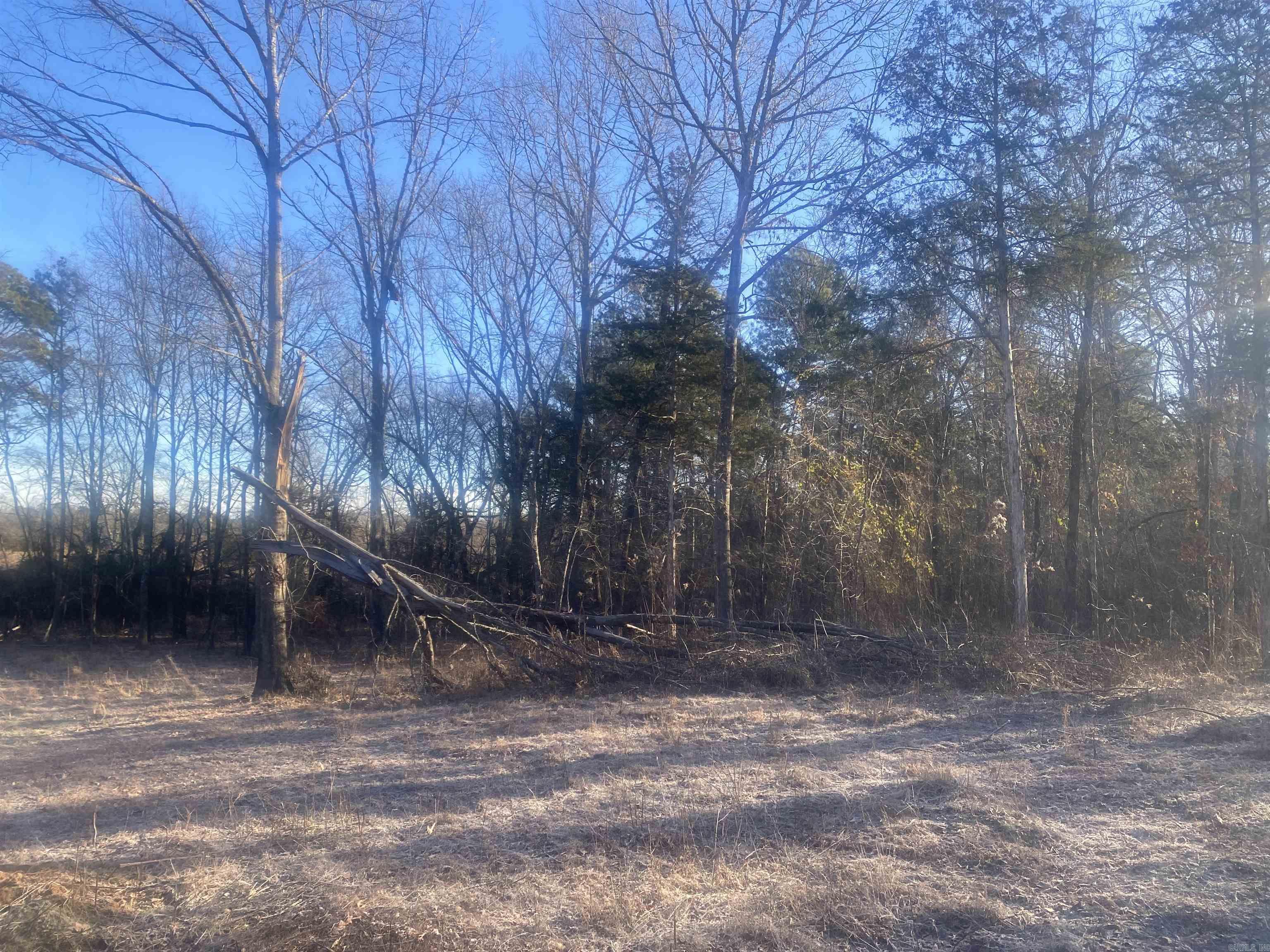 TBD  Farley  Story, AR