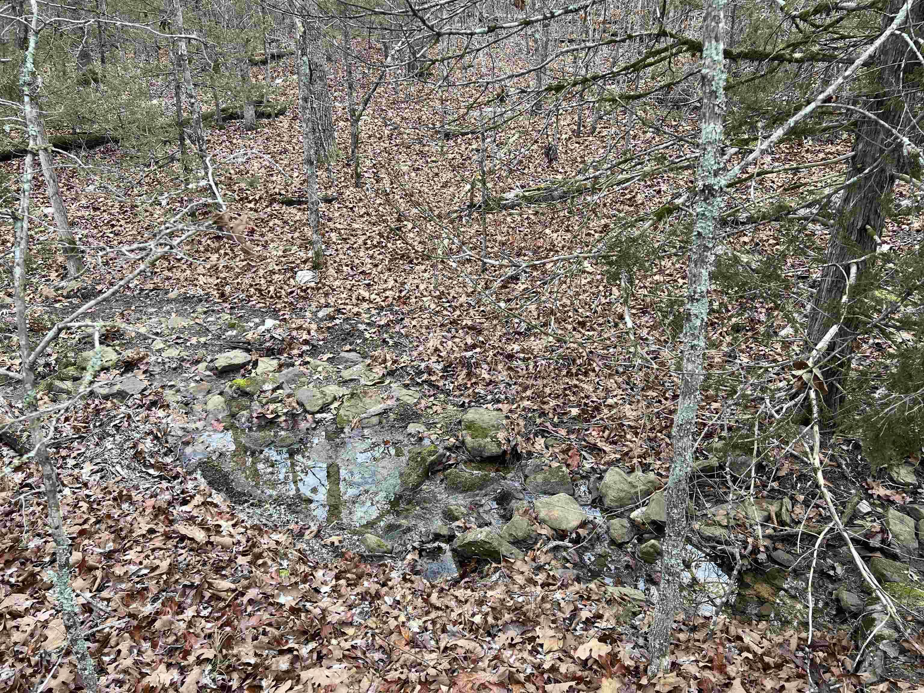   NC 8355  Jasper, AR