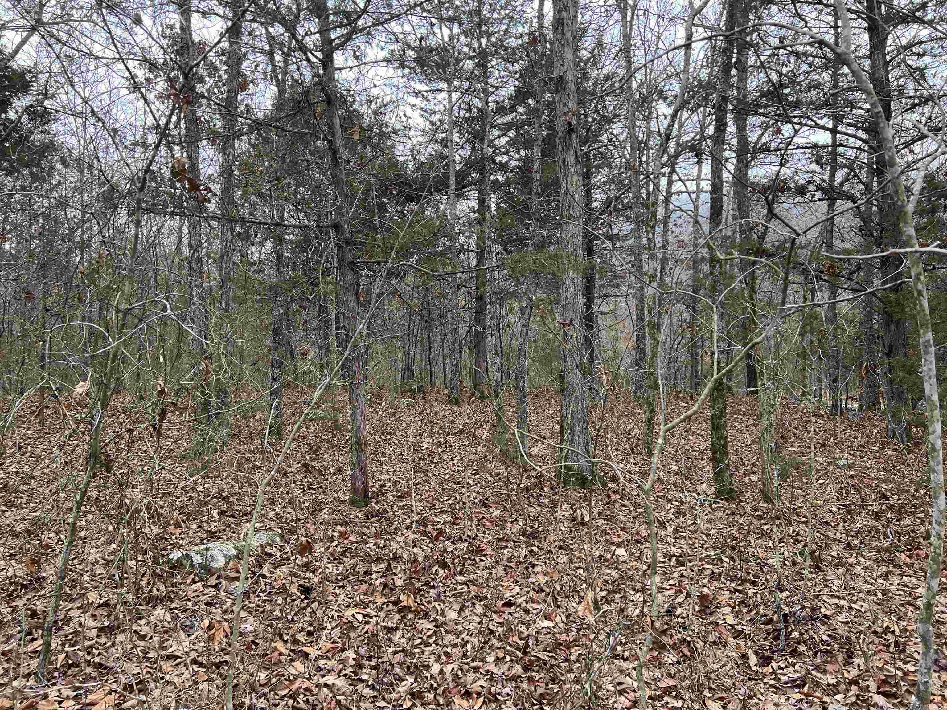   NC 8355  Jasper, AR