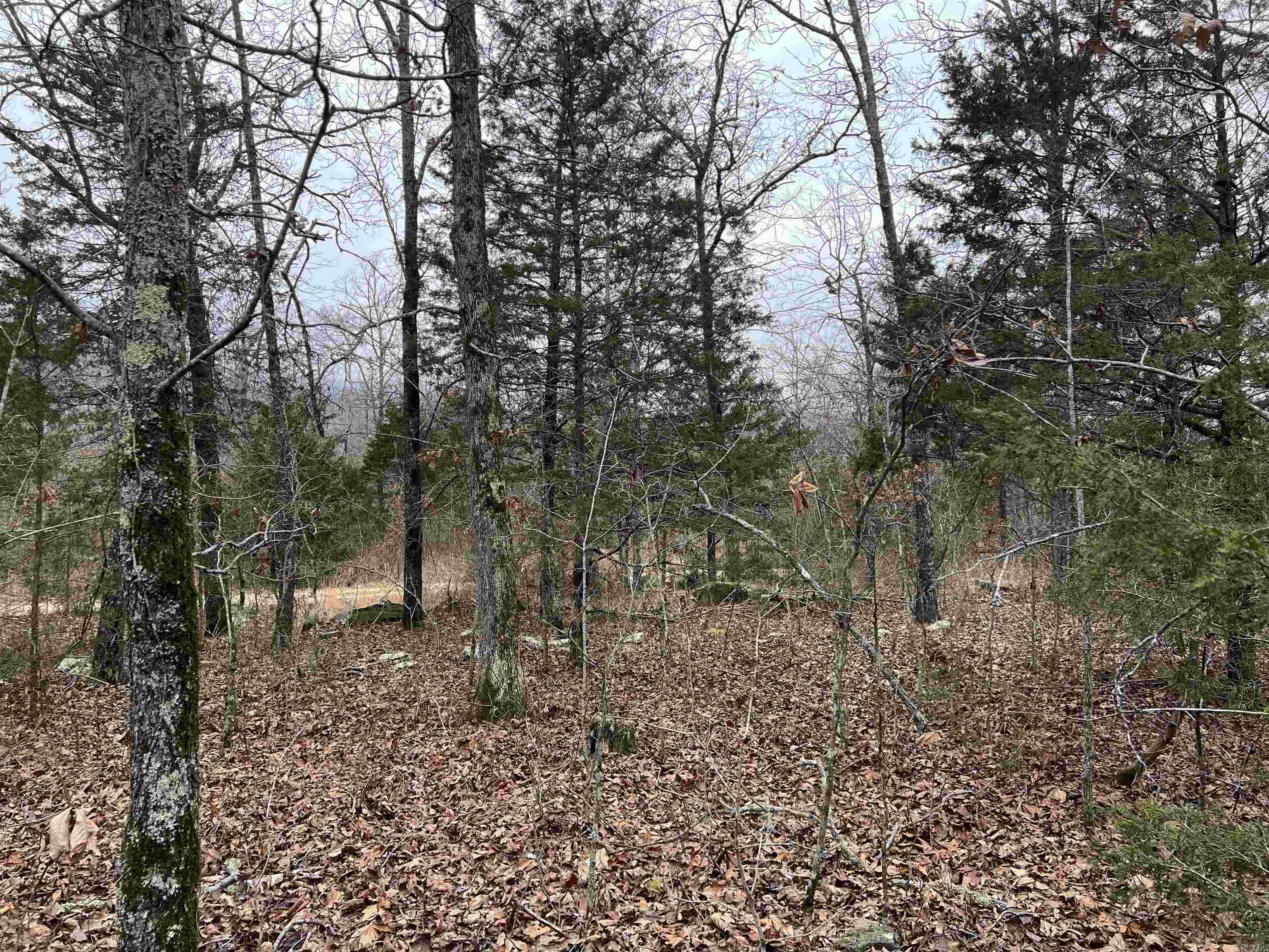   NC 8355  Jasper, AR
