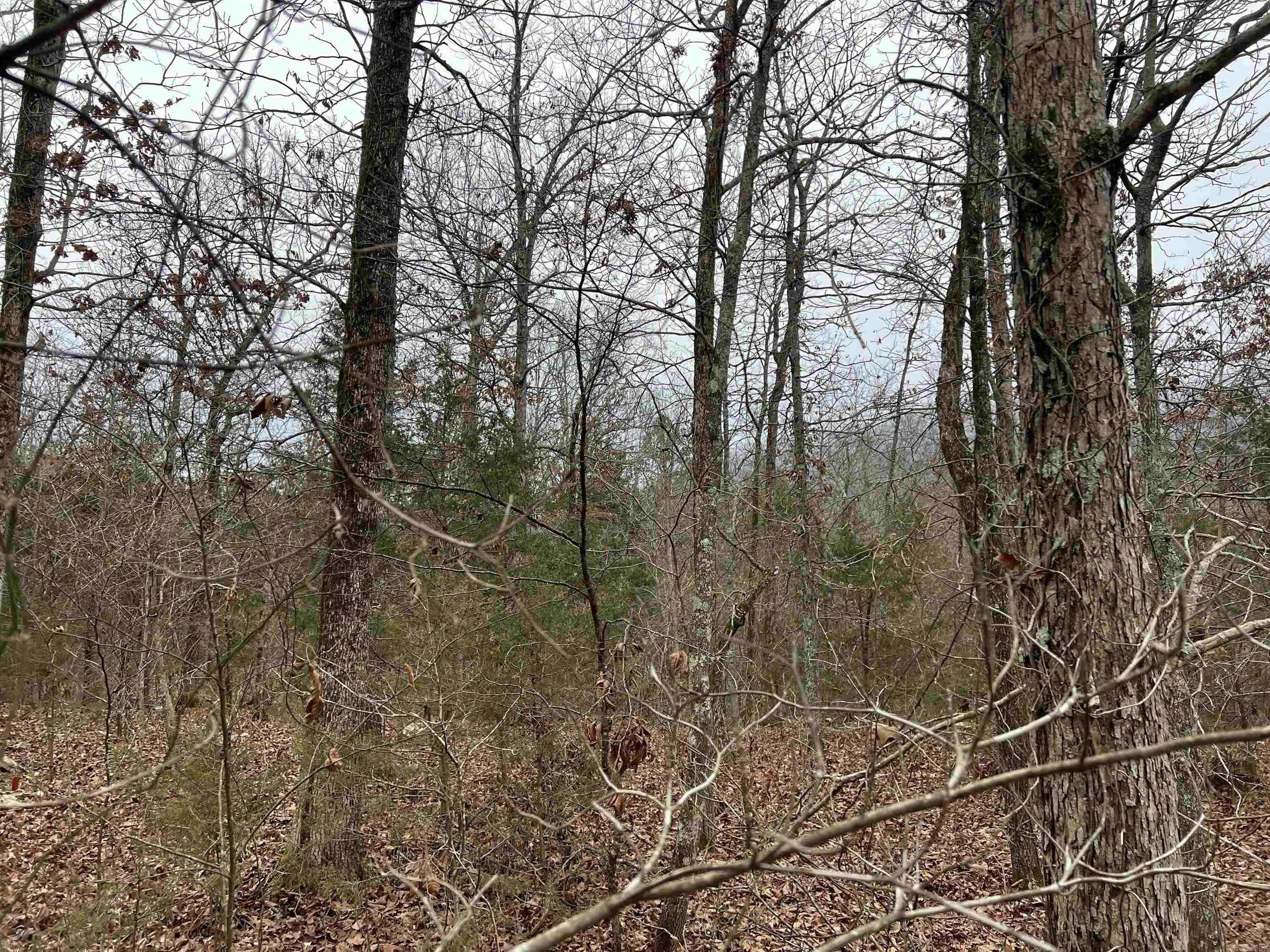   NC 8355  Jasper, AR