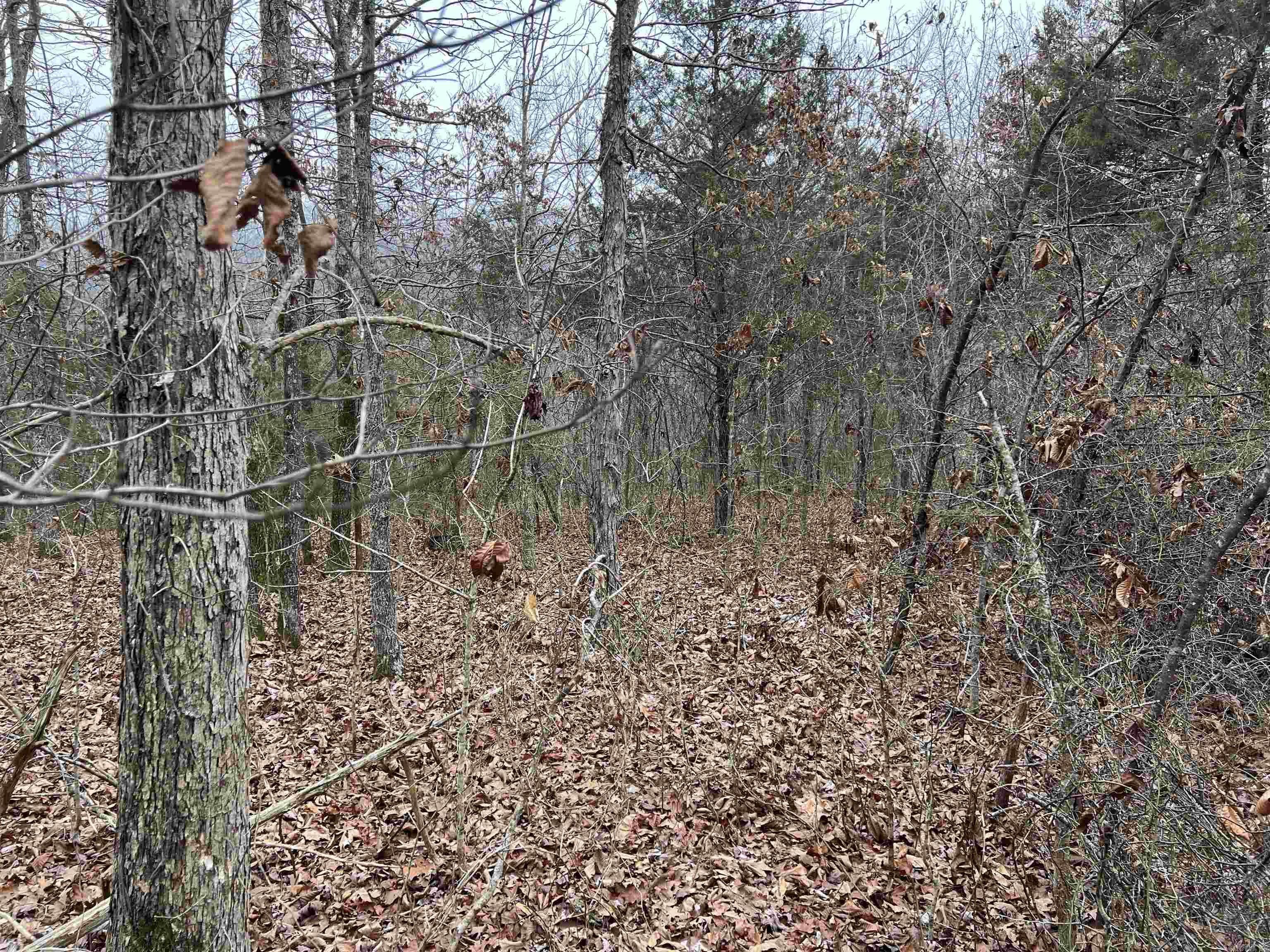   NC 8355  Jasper, AR