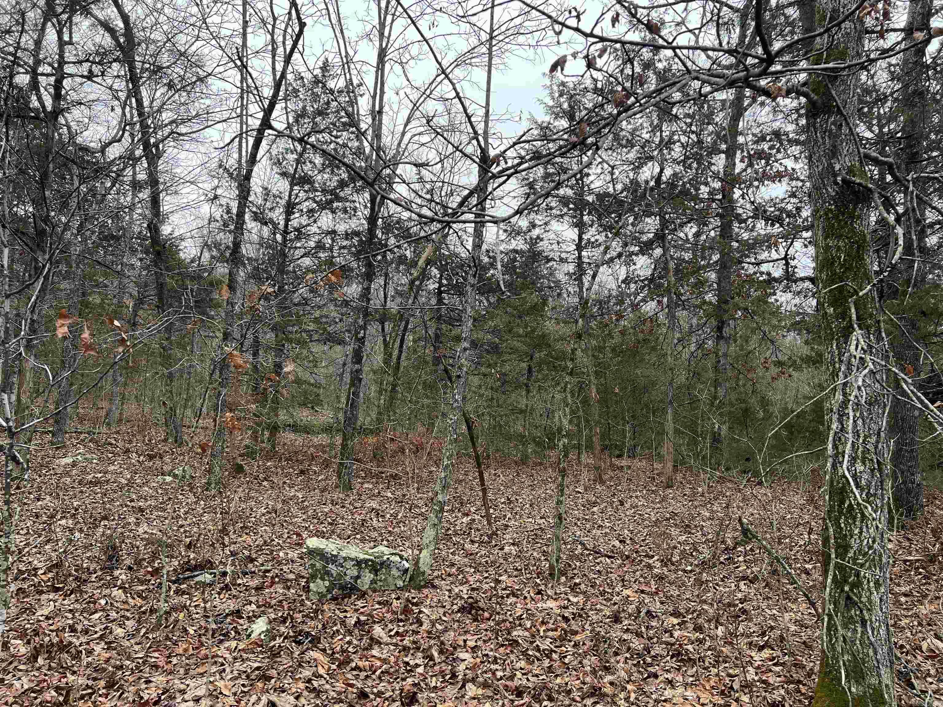   NC 8355  Jasper, AR