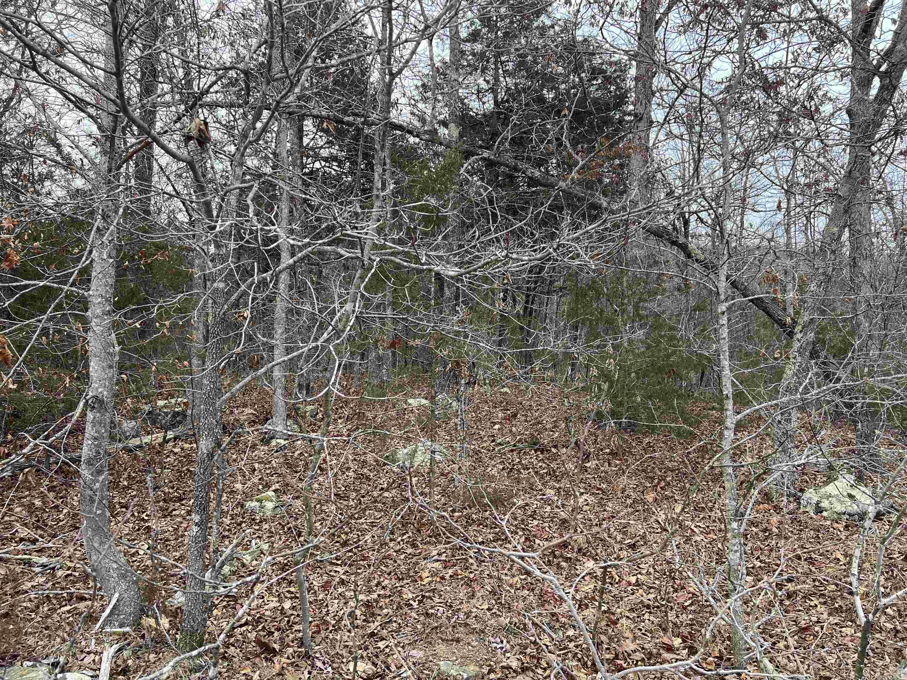   NC 8355  Jasper, AR