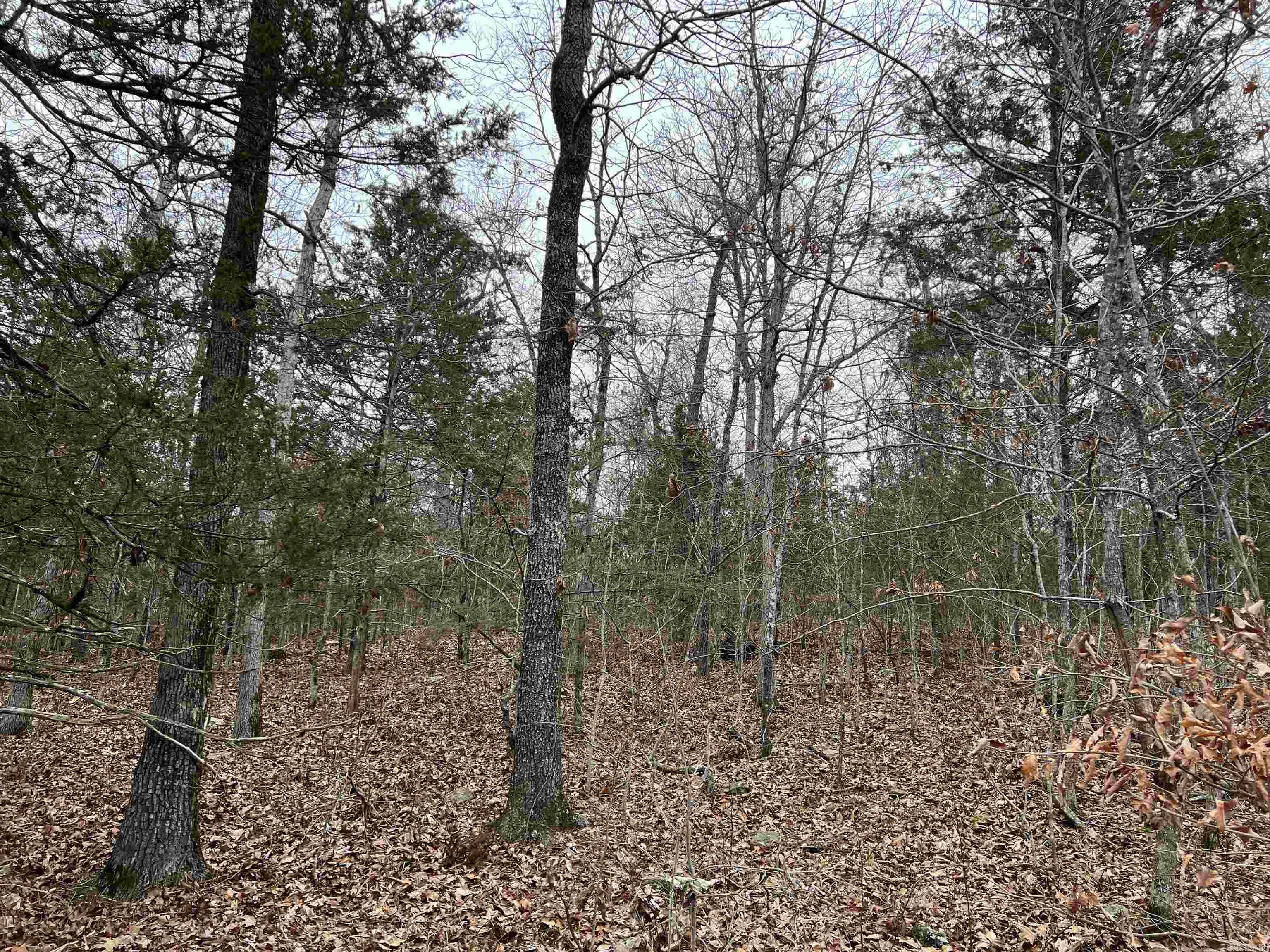  NC 8355  Jasper, AR