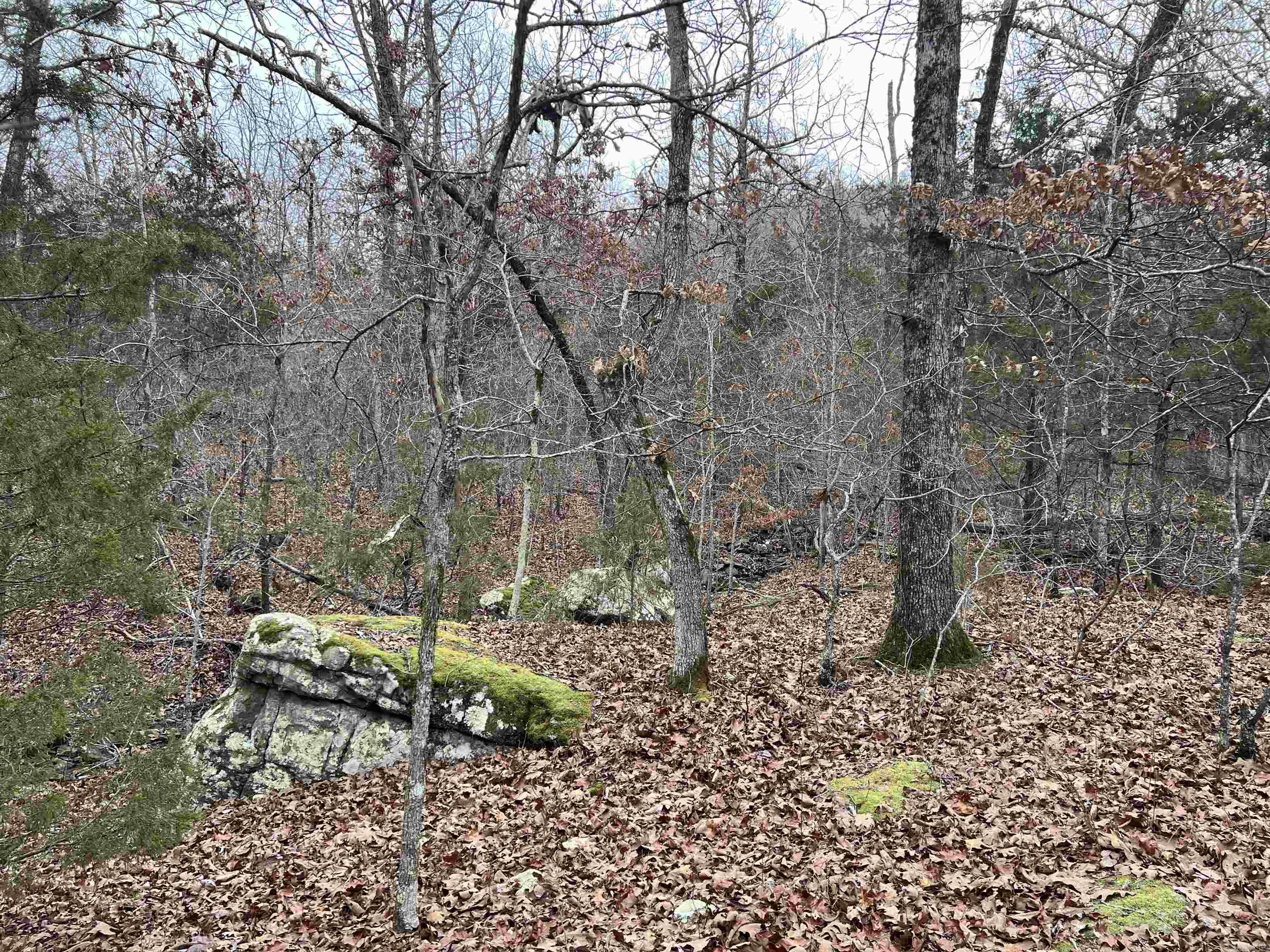   NC 8355  Jasper, AR