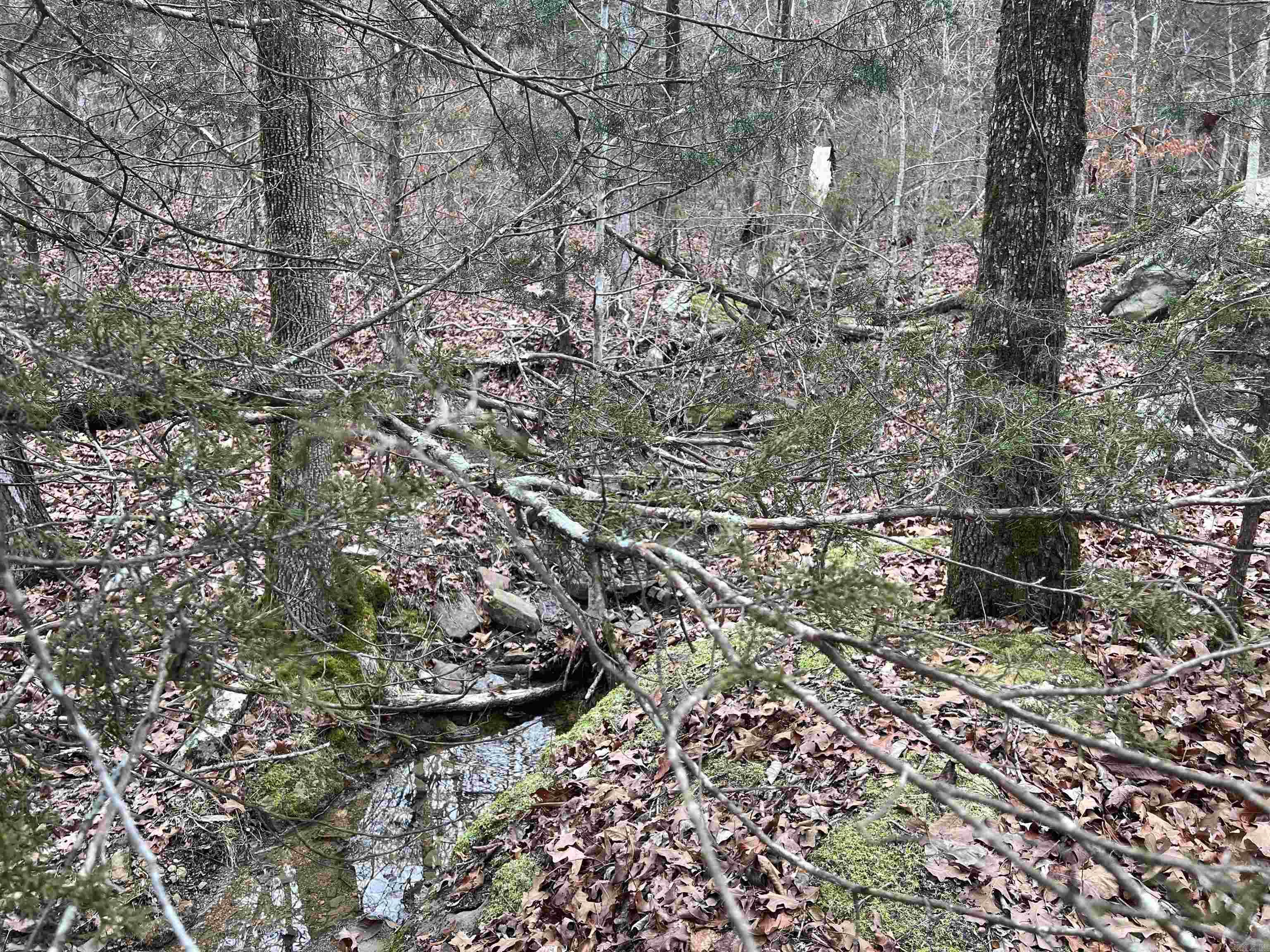   NC 8355  Jasper, AR
