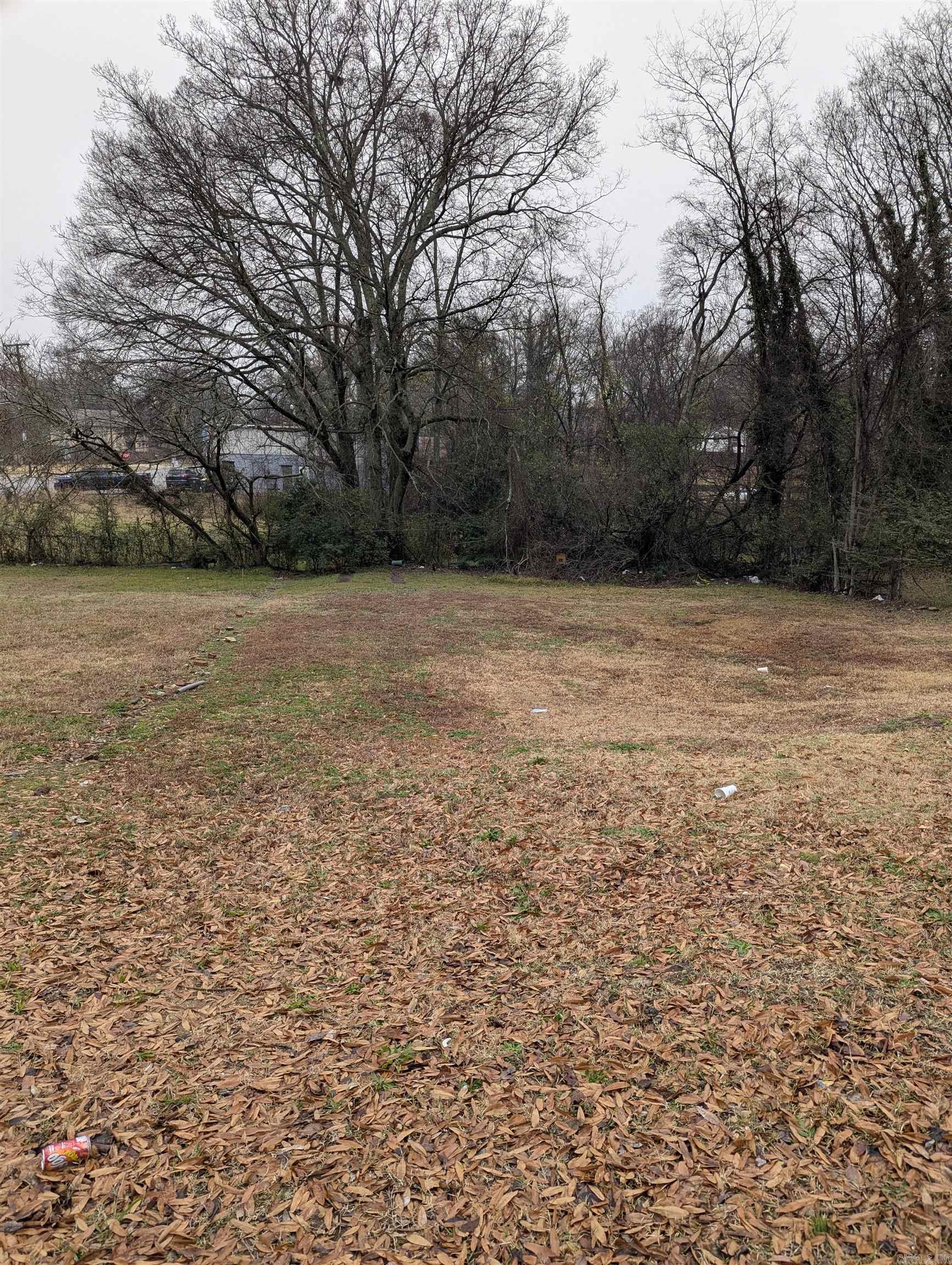 2320 S Pulaski  Little Rock, AR