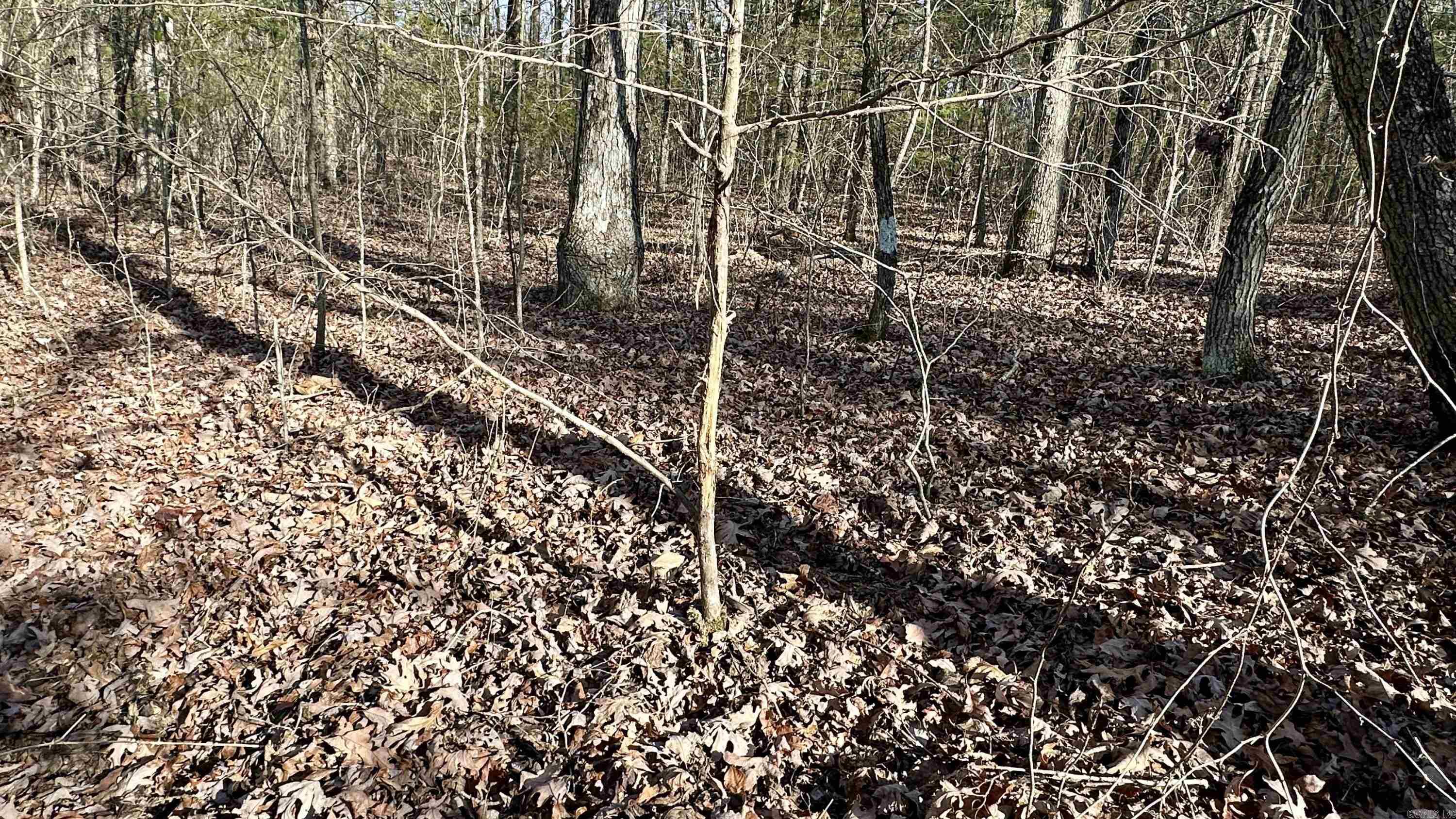 000  HWY 92 (deeded easement)  Drasco, AR
