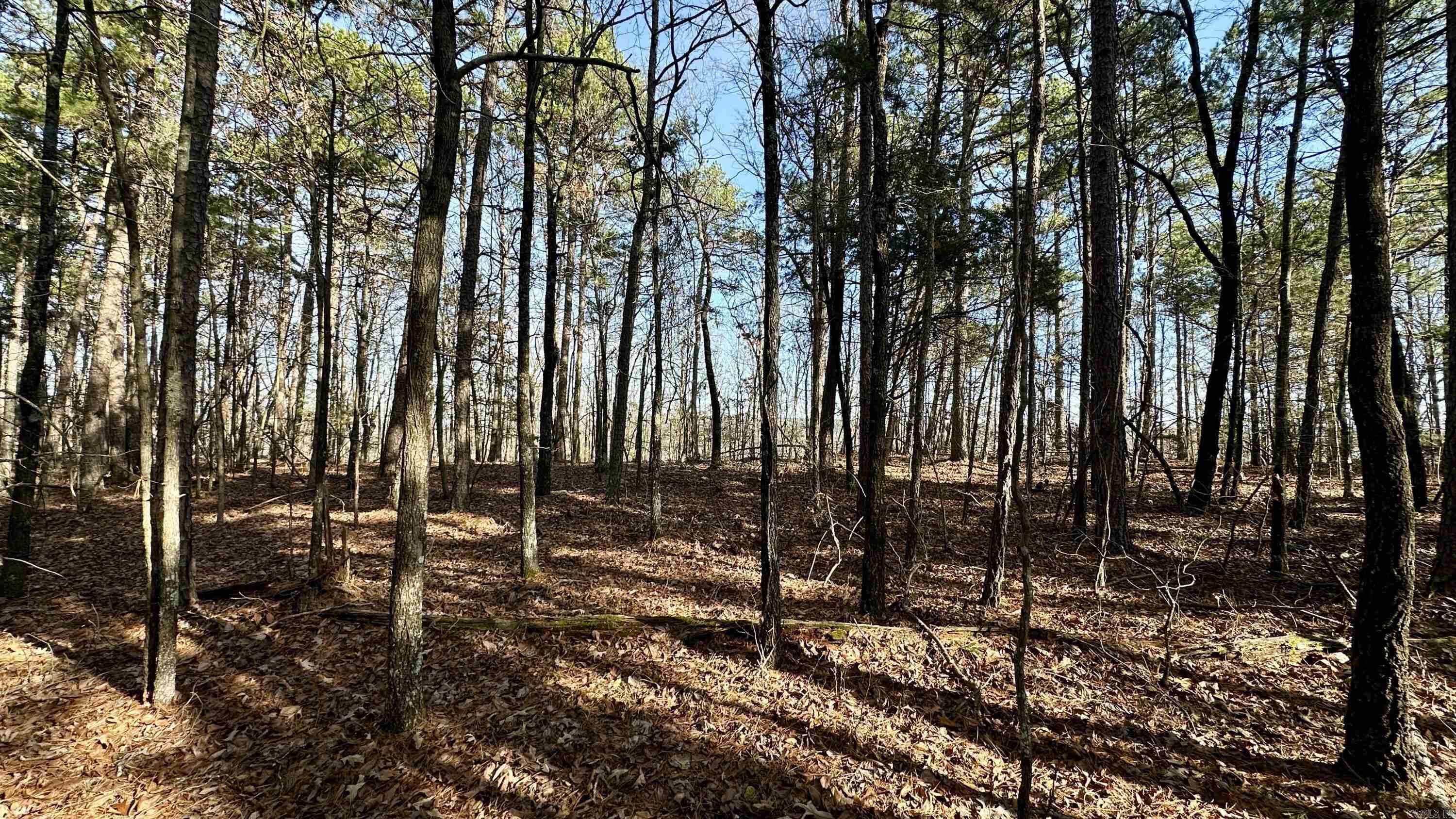 000  HWY 92 (deeded easement)  Drasco, AR