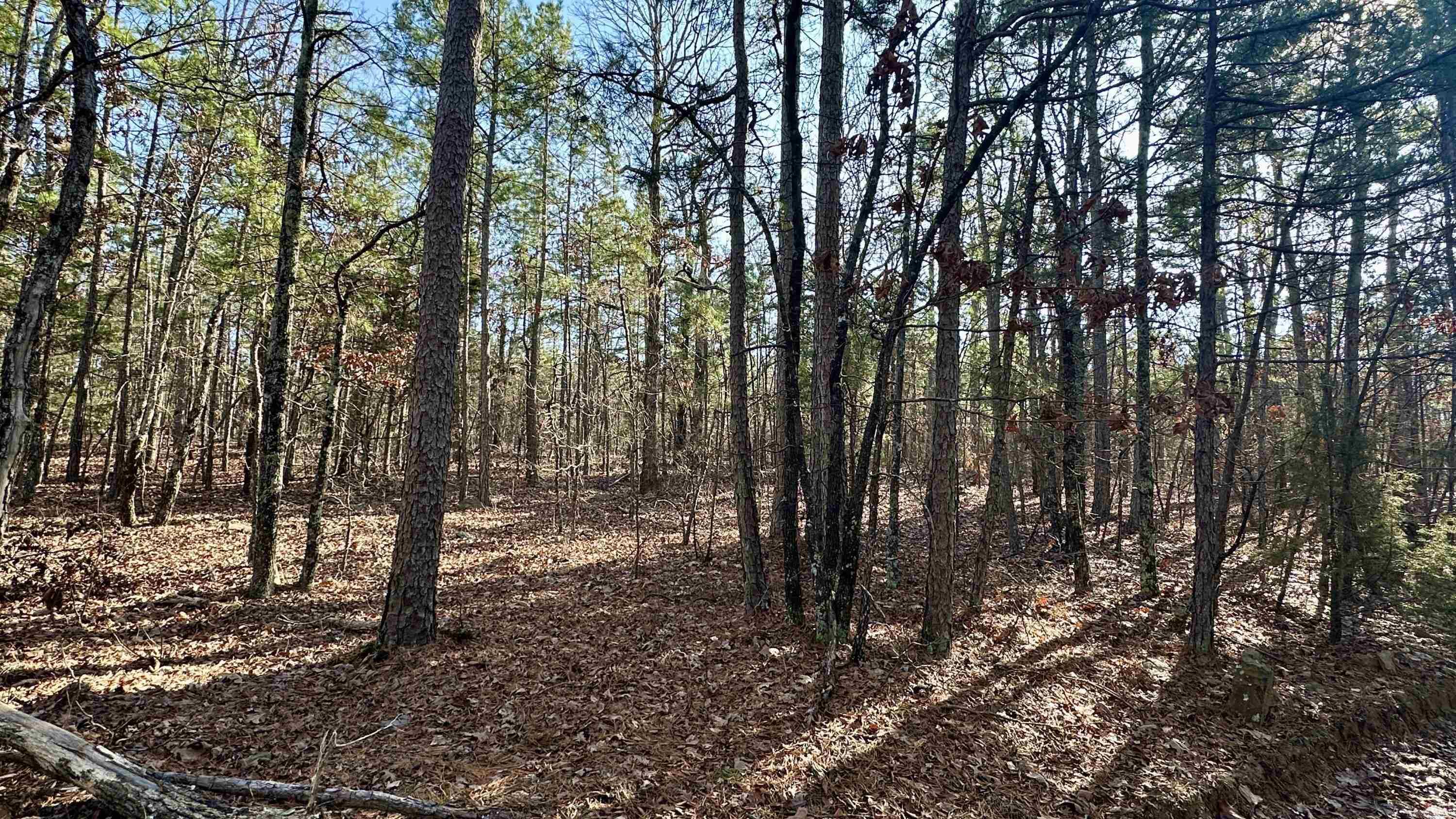 000  HWY 92 (deeded easement)  Drasco, AR
