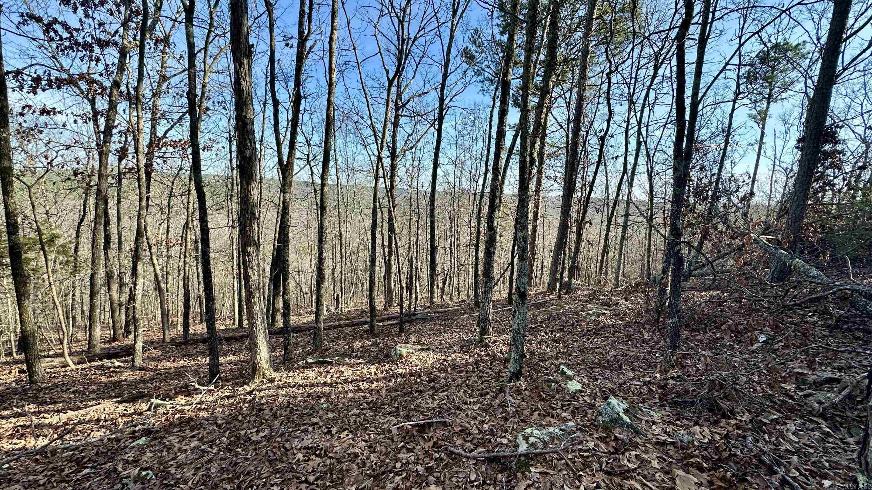 000  HWY 92 (deeded easement)  Drasco, AR