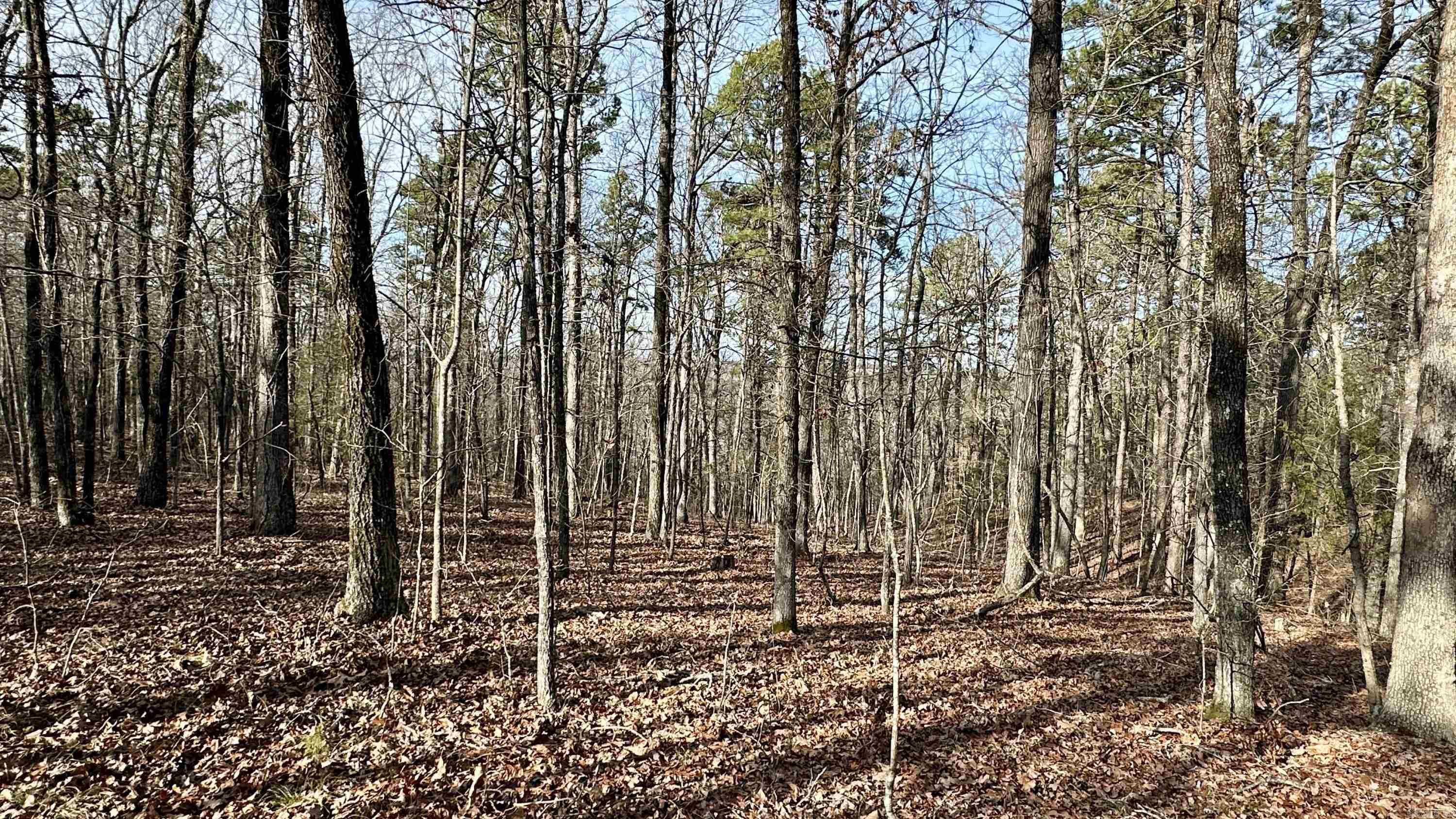 000  HWY 92 (deeded easement)  Drasco, AR