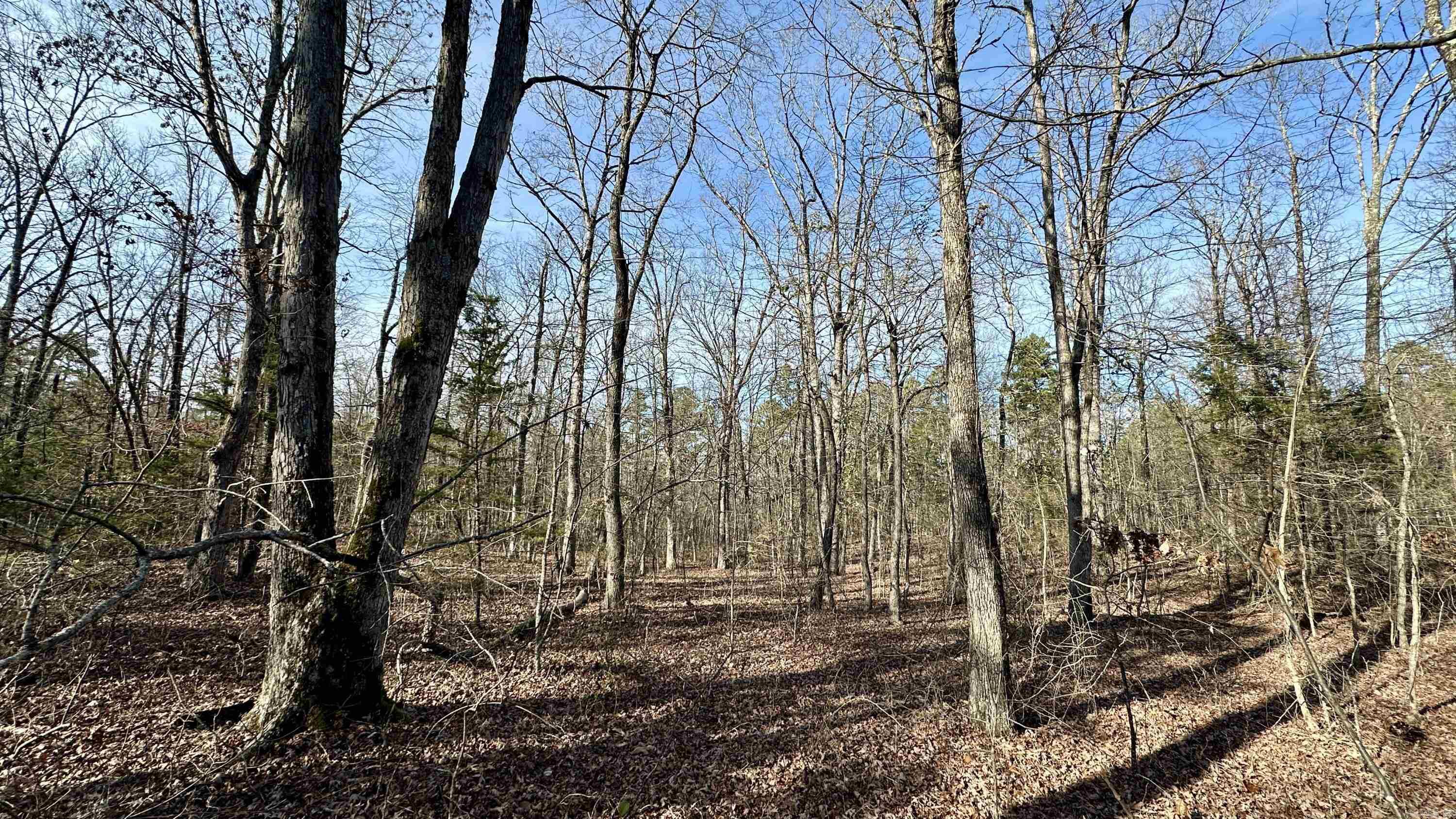000  HWY 92 (deeded easement)  Drasco, AR