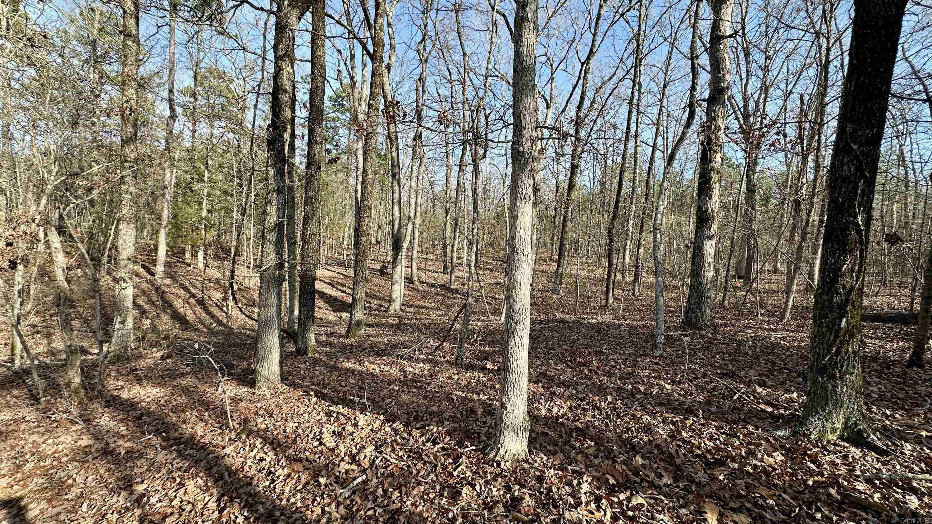 000  HWY 92 (deeded easement)  Drasco, AR