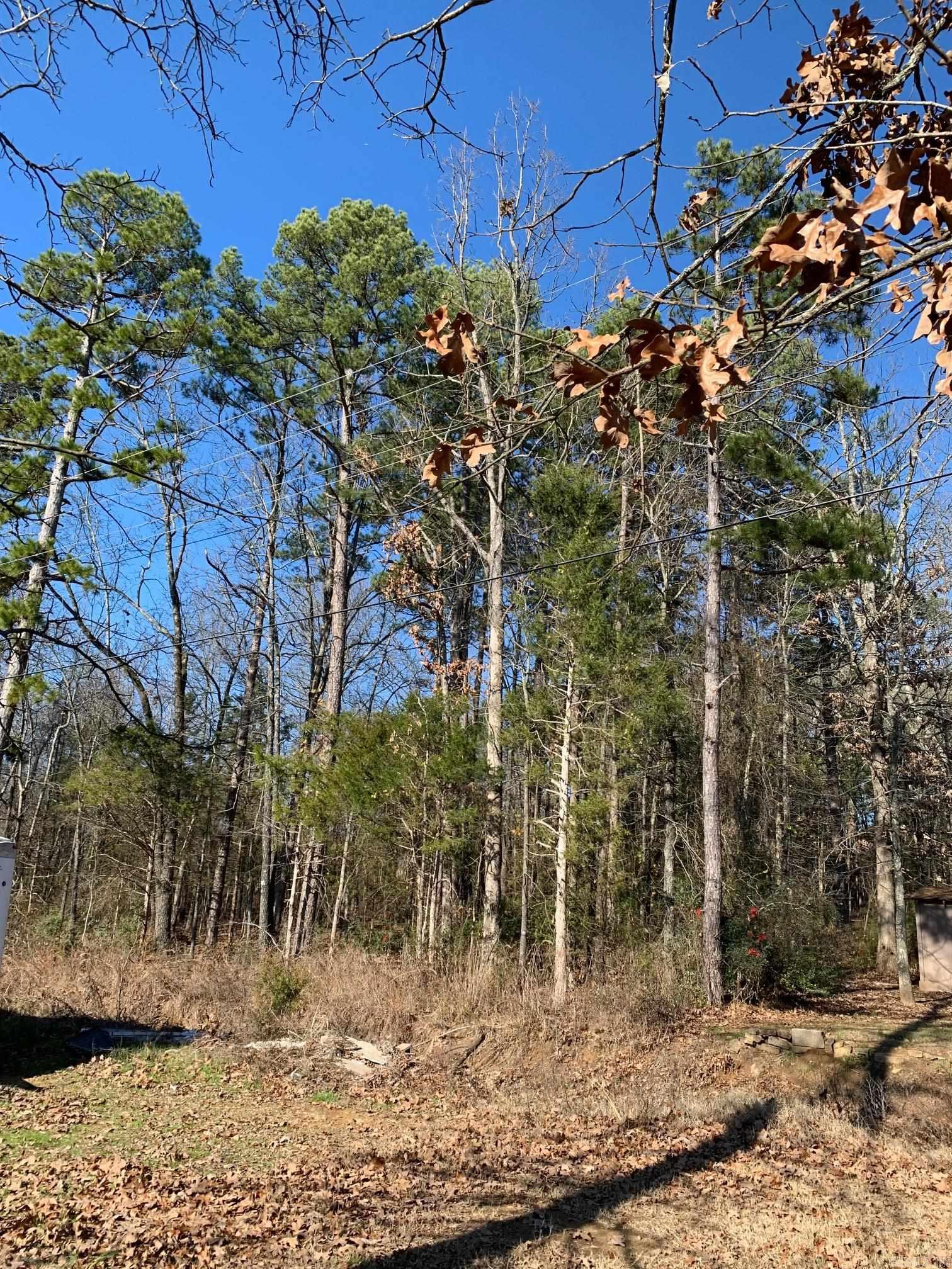 Lot 4  Thelma  Heber Springs, AR