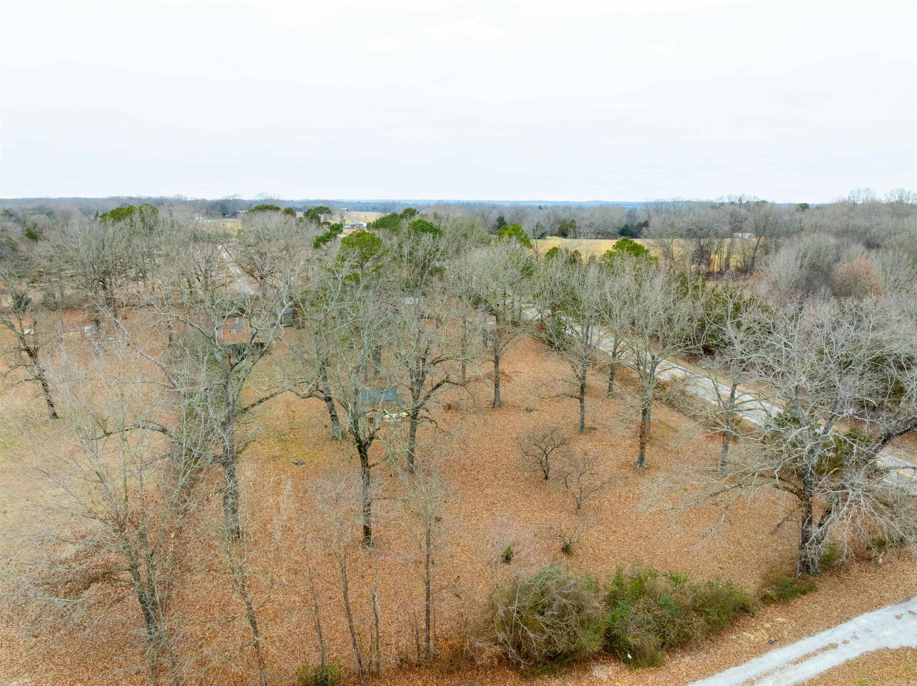 993 W River Drive  Strawberry, AR