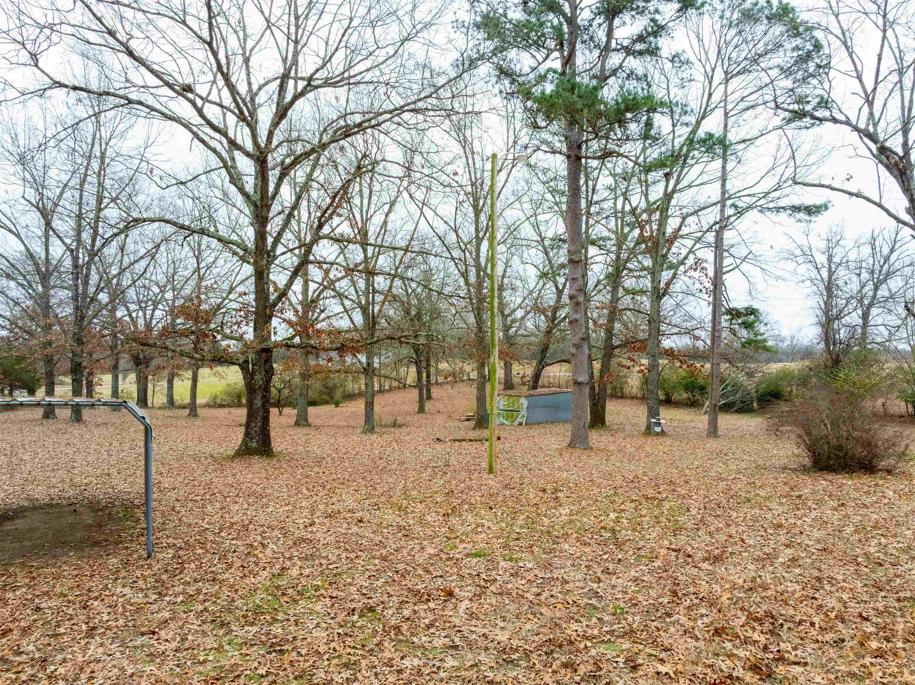 993 W River Drive  Strawberry, AR