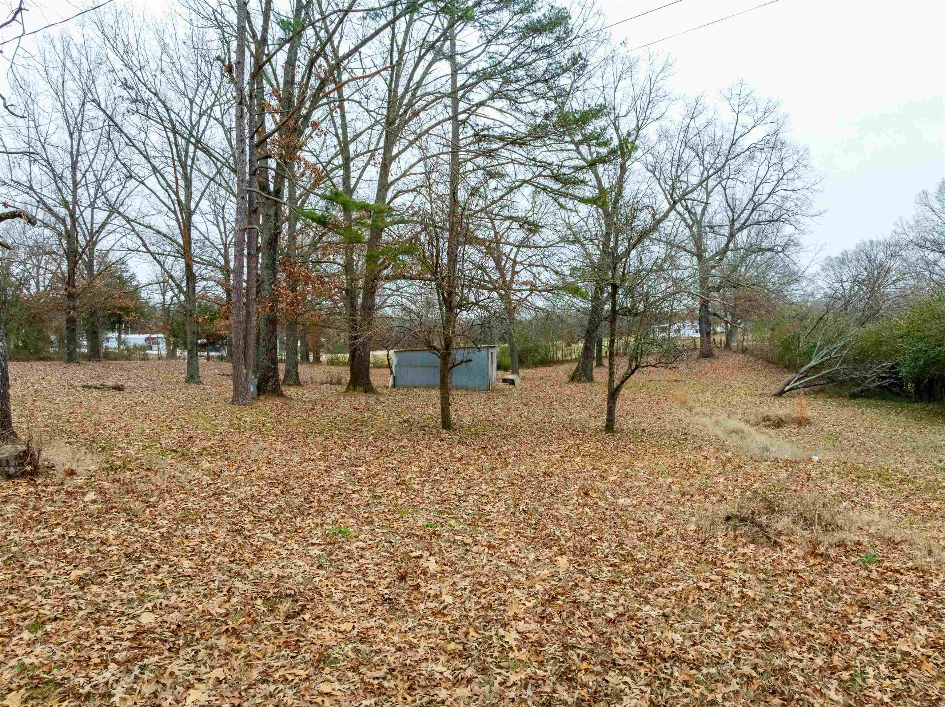 993 W River Drive  Strawberry, AR