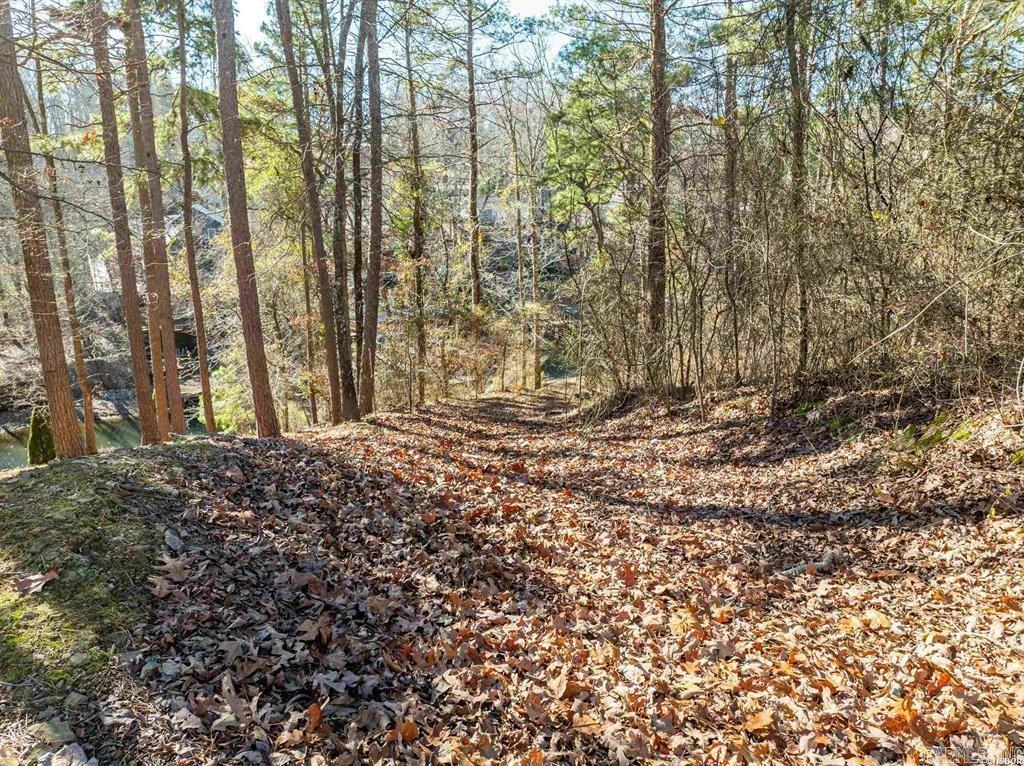 135  Cannon Ridge  Hot Springs, AR