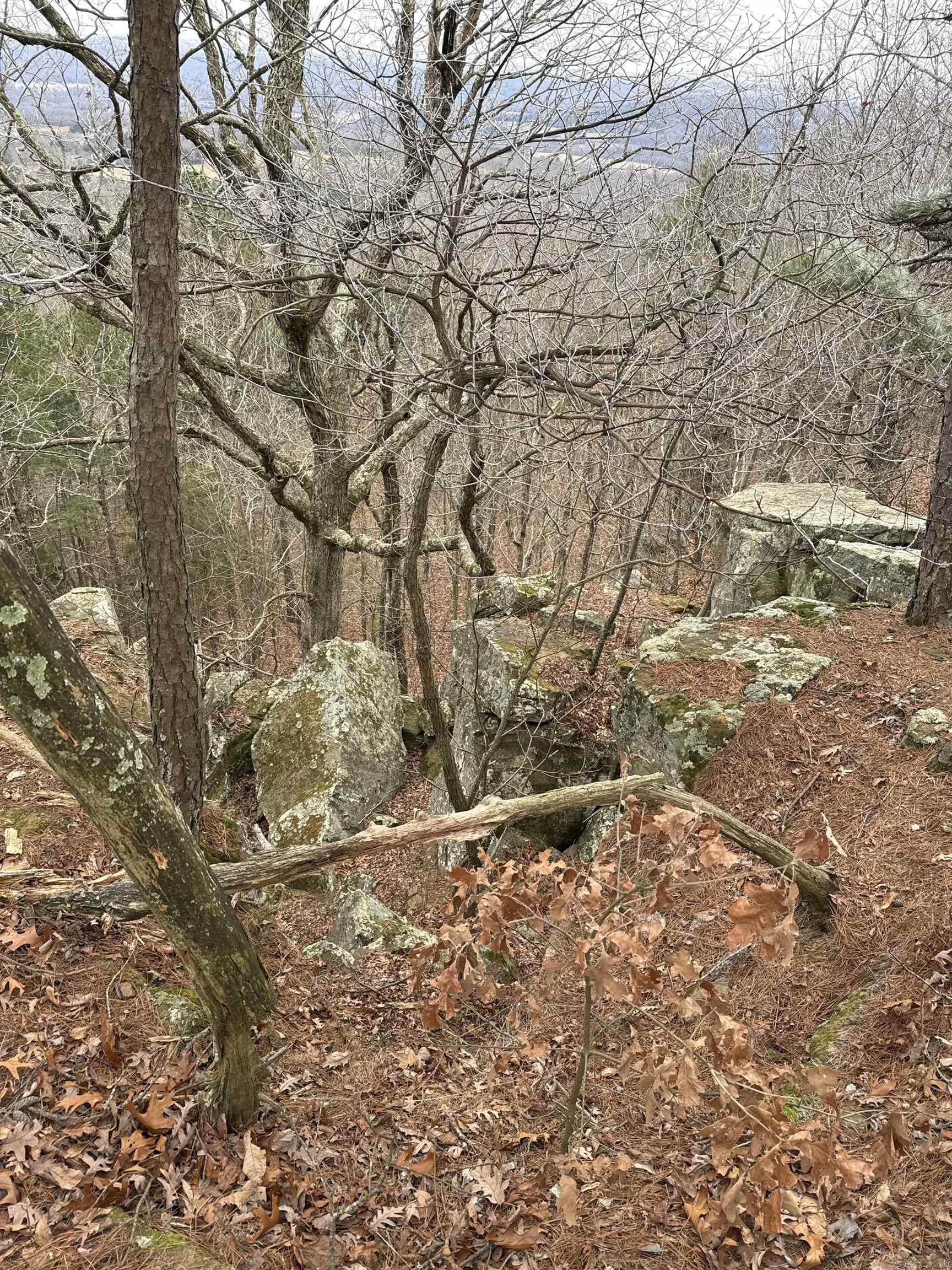 286 Julor Ranch Road Marshall, AR 72650