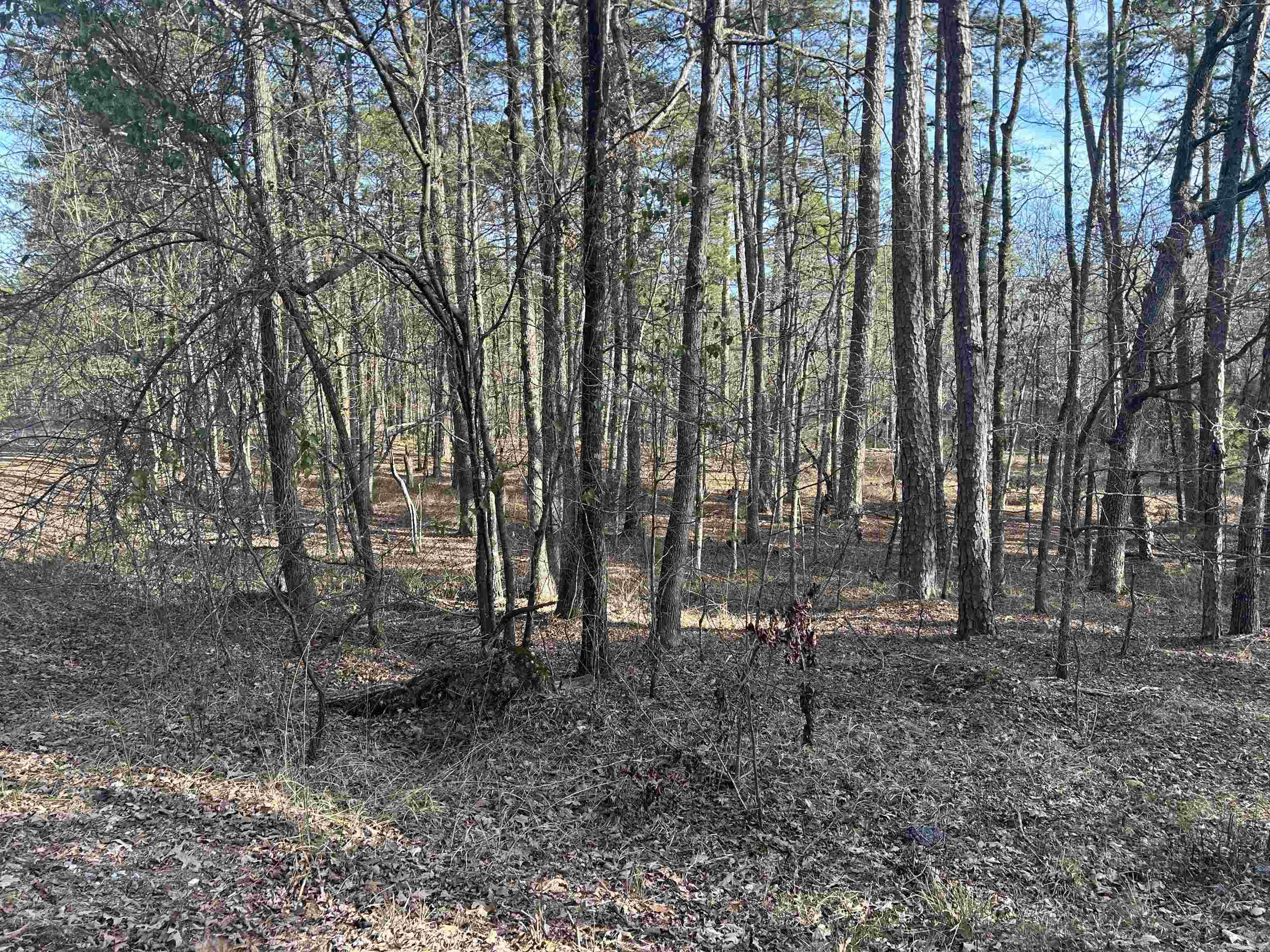 TBD  La Janda  Hot Springs Village, AR