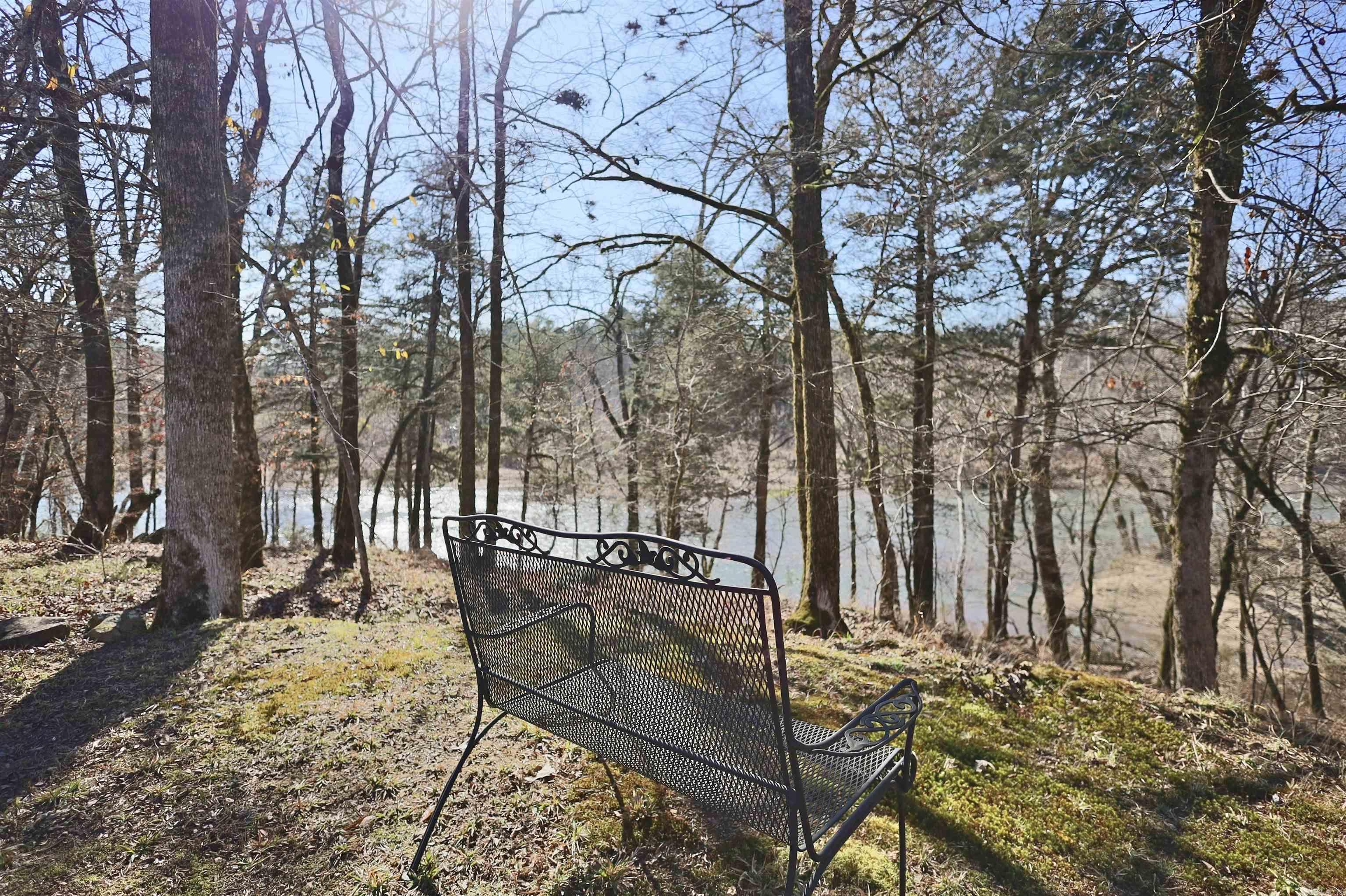 102  Blaze  Amity, AR