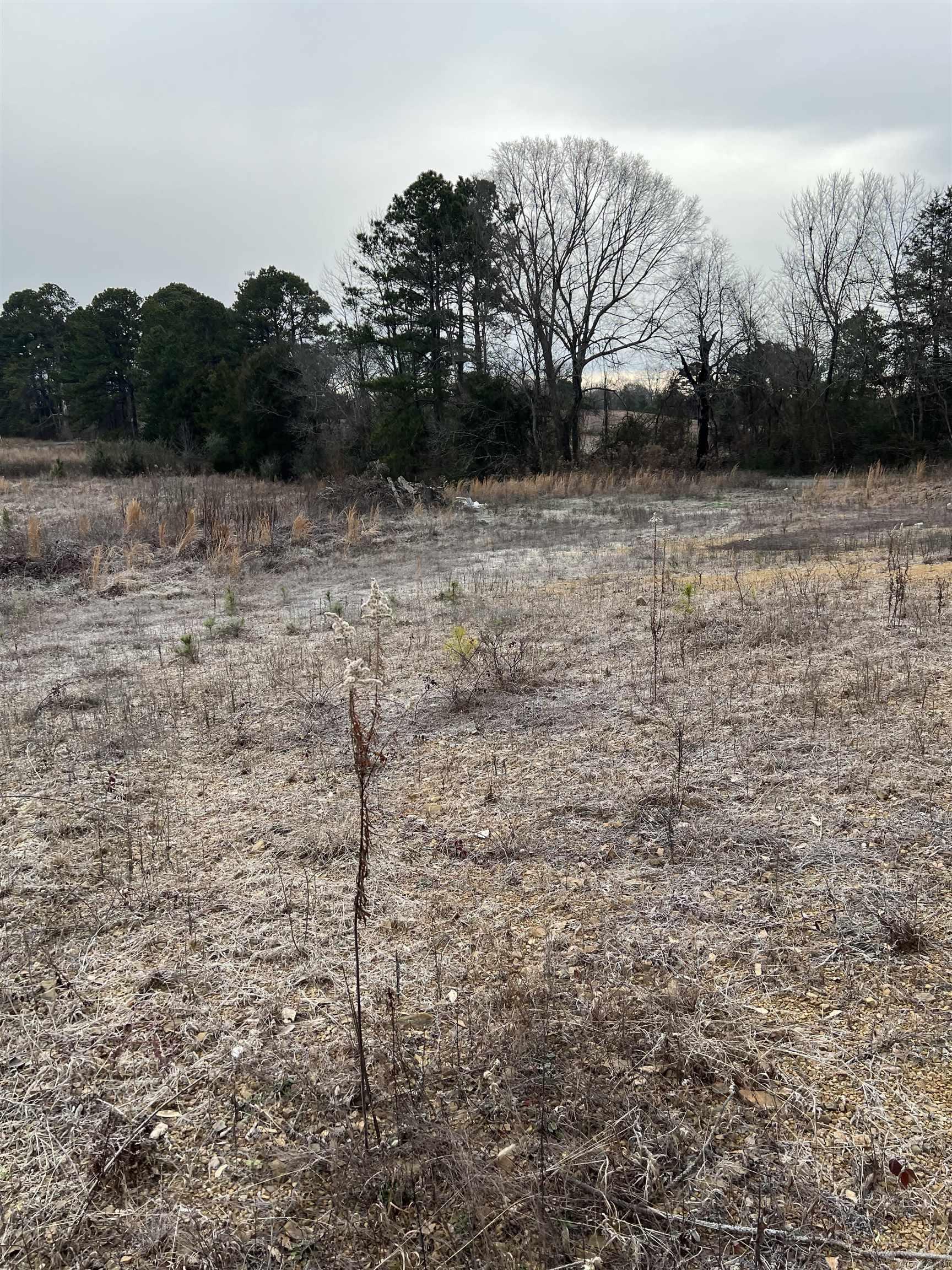 xx  Hill Street  Amity, AR