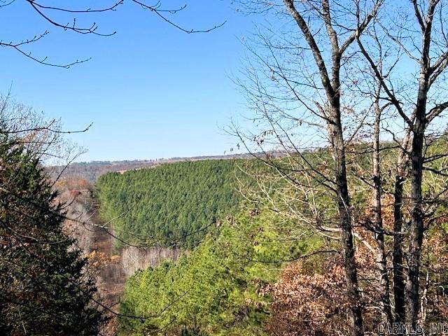   Bear Mountain  Greers Ferry, AR
