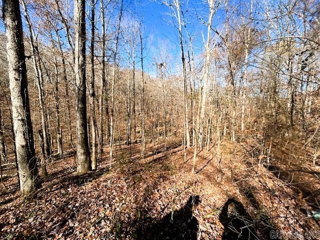   Bear Mountain  Greers Ferry, AR