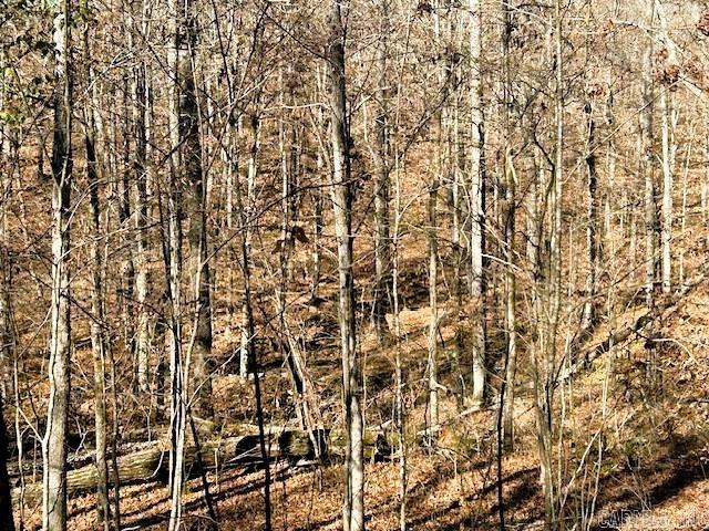   Bear Mountain  Greers Ferry, AR