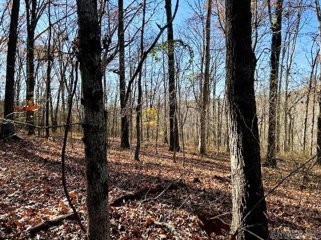   Bear Mountain  Greers Ferry, AR